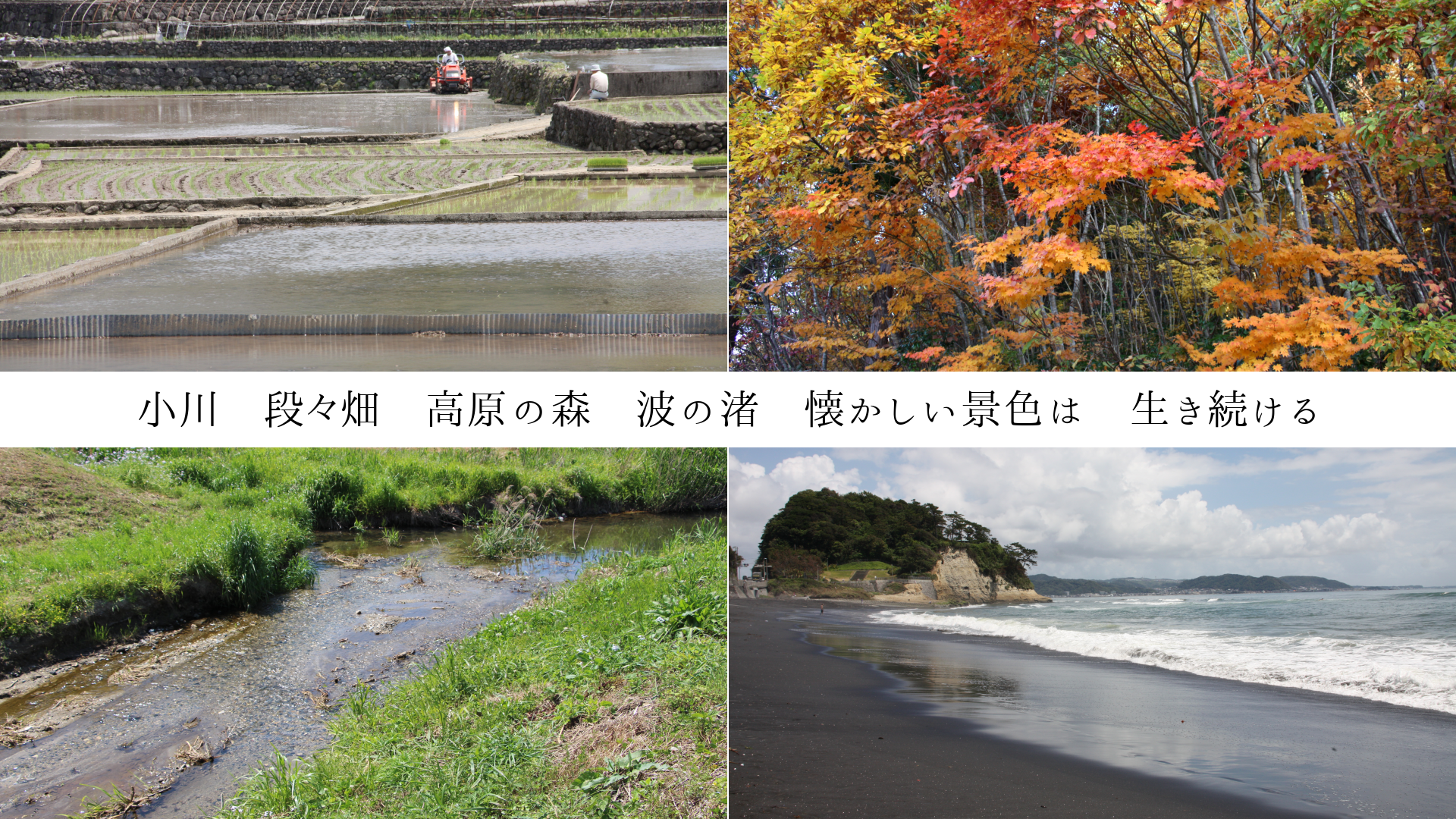 ʡȪ⸶οȤνʿϡ³