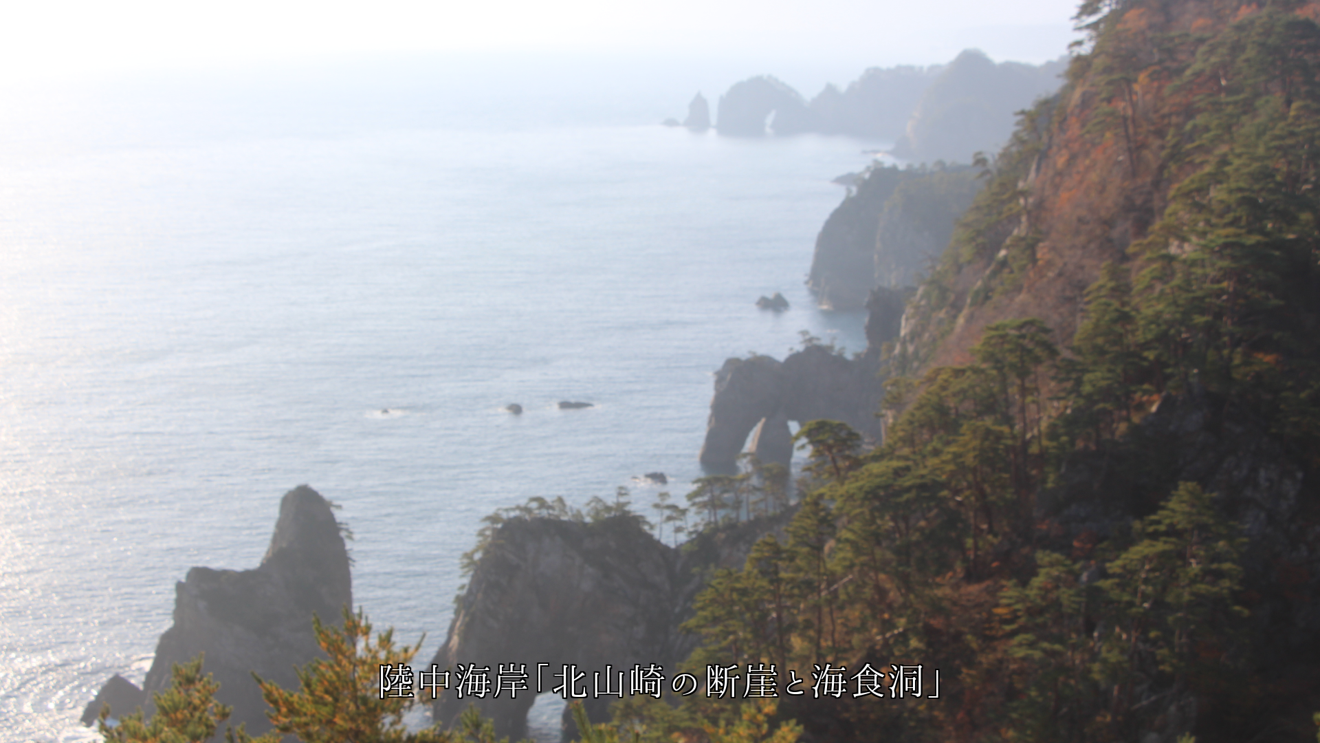 皆それぞれに 記憶に残る海岸や浜辺がある そして心の中で生き続ける