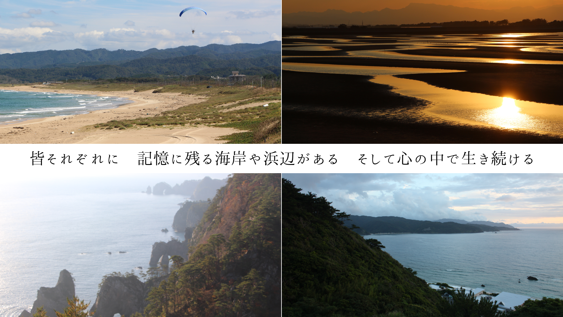 �����줾��ˡ������˻Ĥ볤�ߤ����դ����롡�����ƿ����������³����