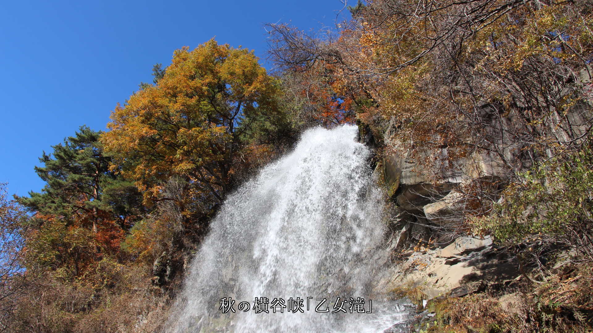 胸がトキメキ 勇気が湧いてくる こんな光景に出会うと