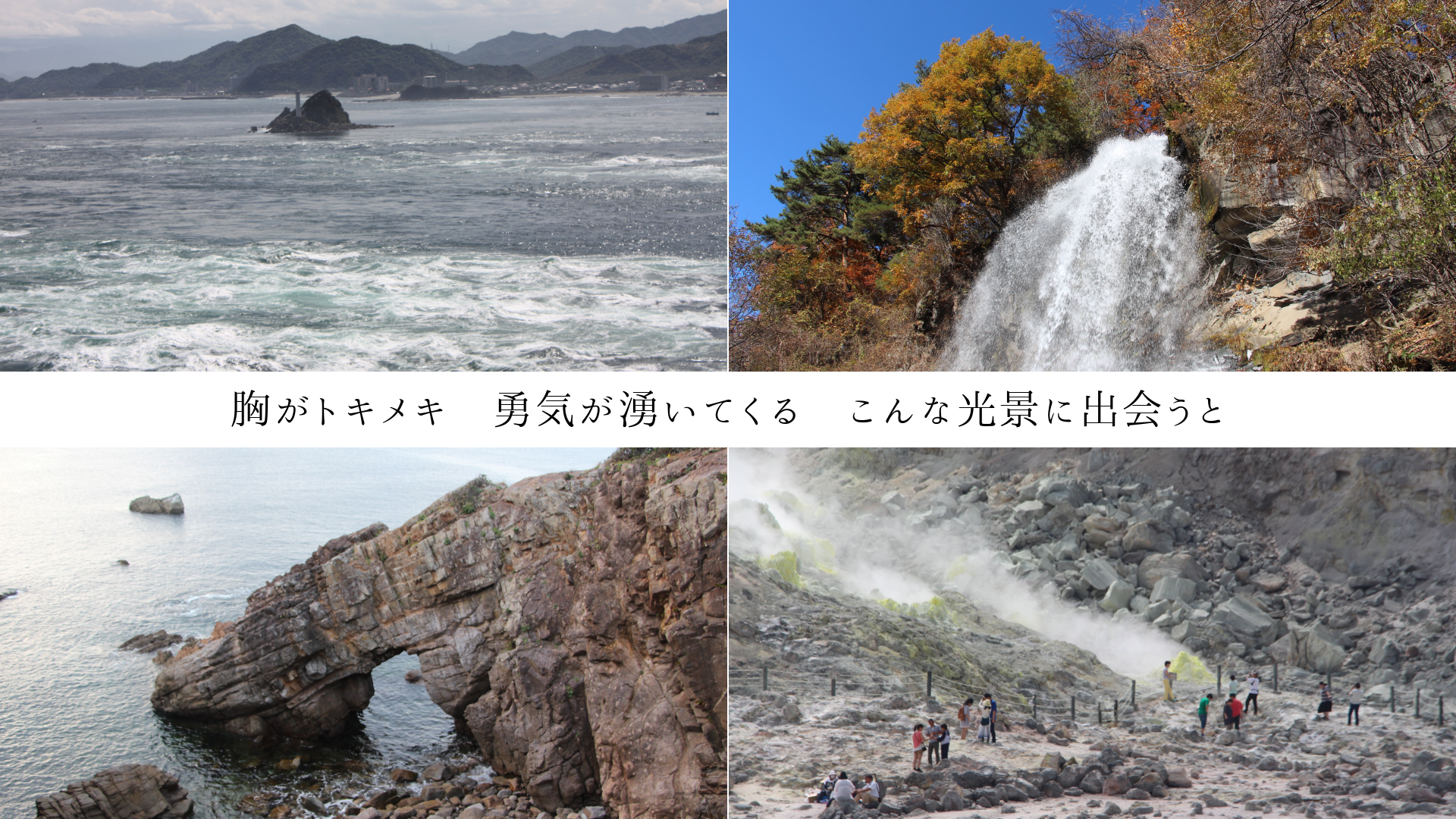 ȥᥭͦͯƤ롡ʸʤ˽в񤦤