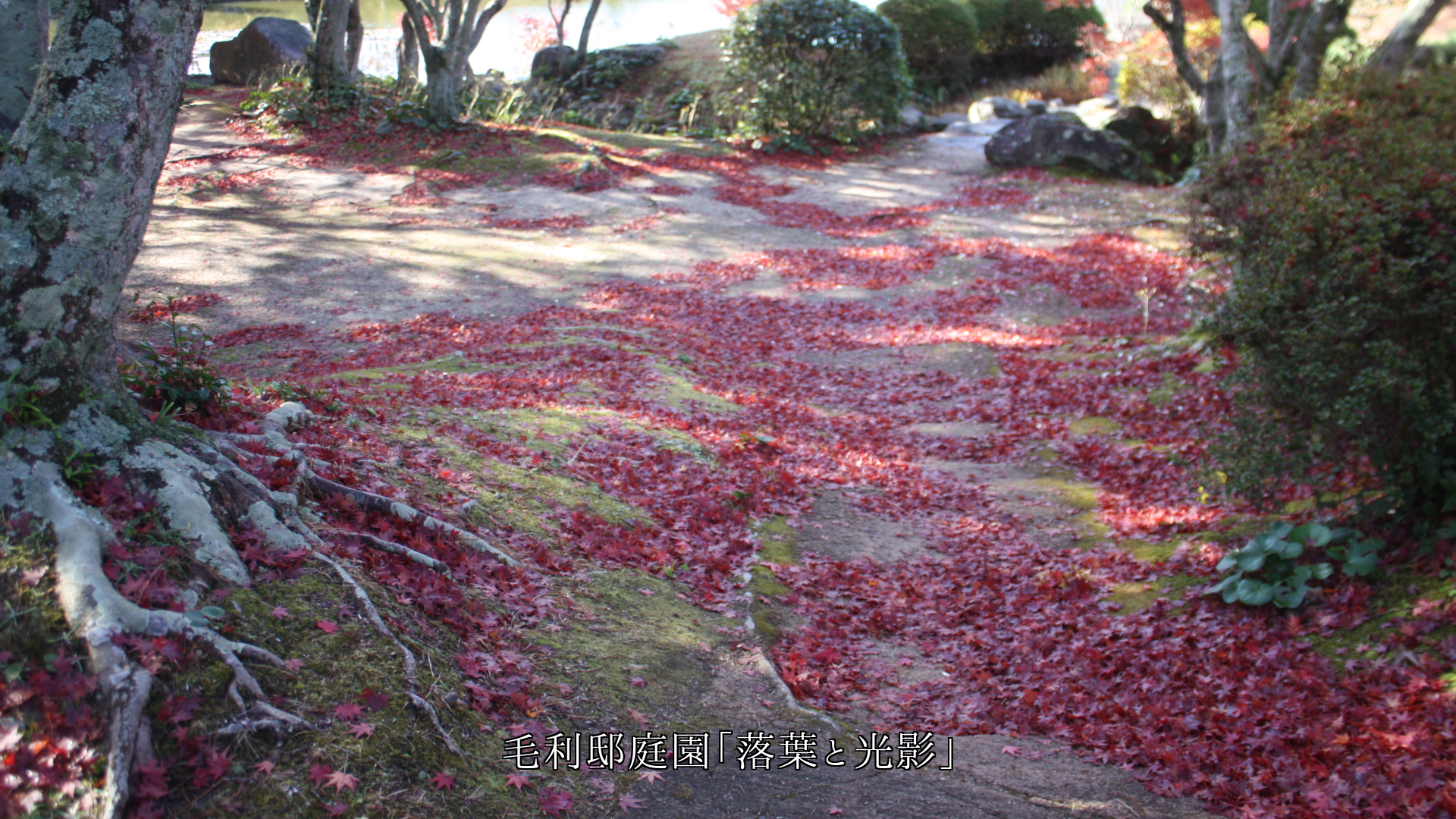 光は万物を照らし 影をつくり 光景をなし 時を刻む
