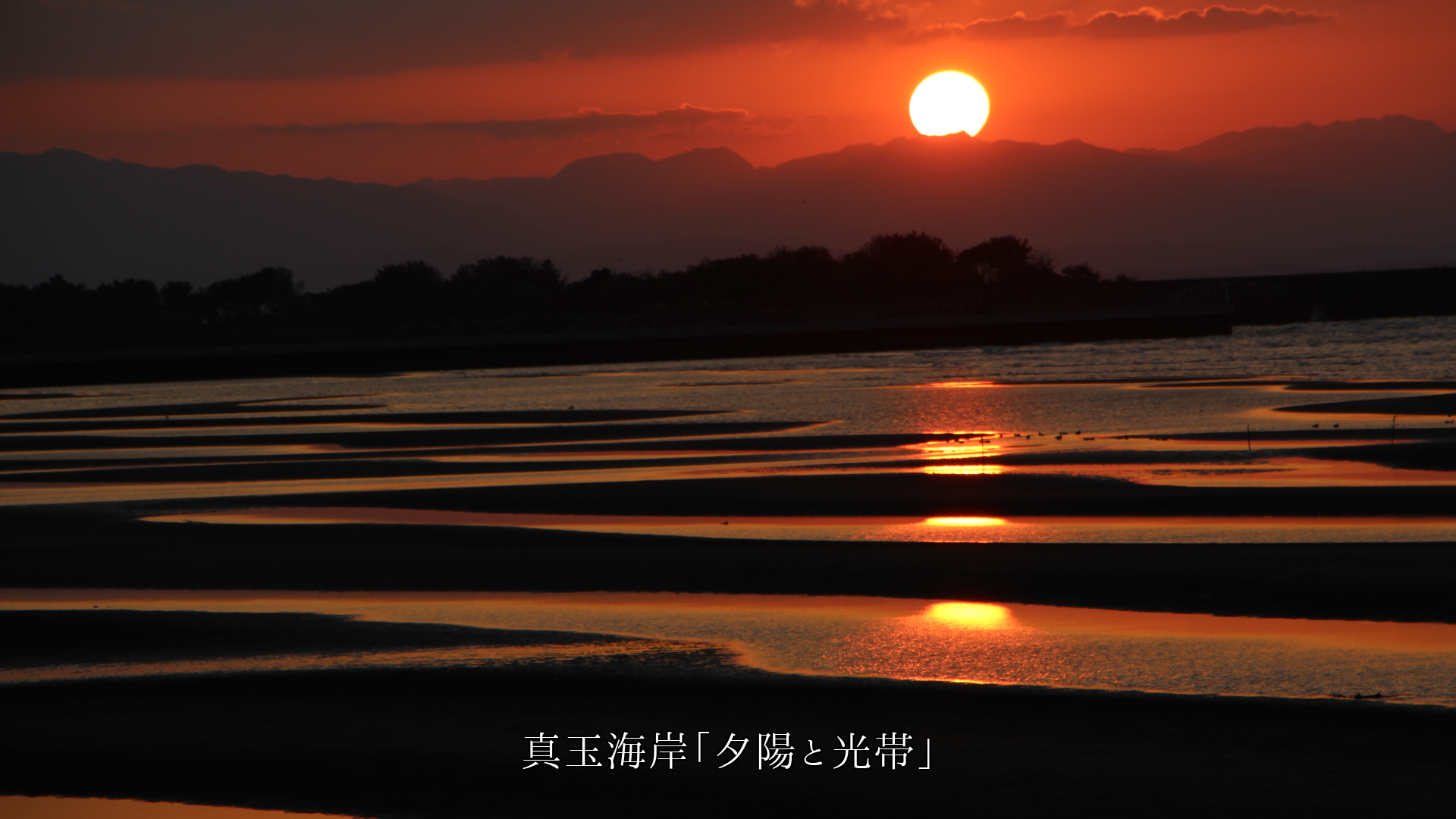 光は万物を照らし 影をつくり 光景をなし 時を刻む