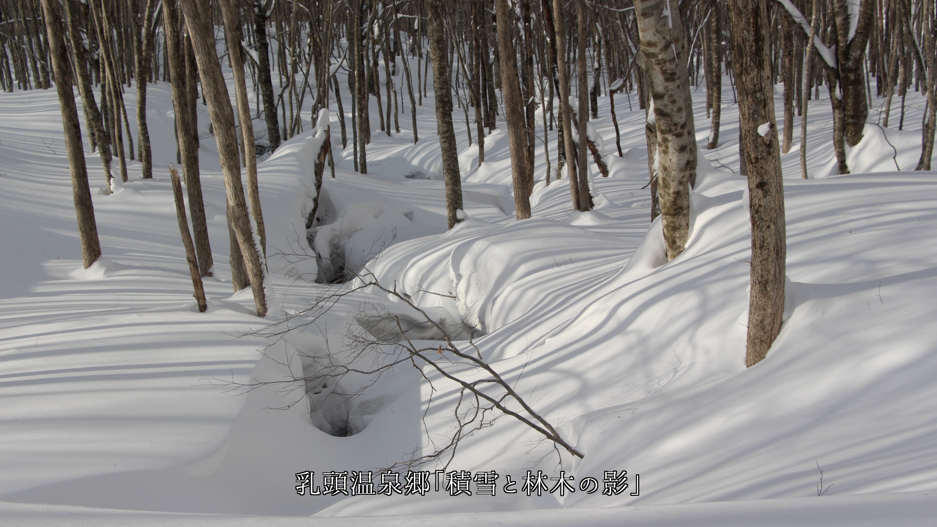 光は万物を照らし 影をつくり 光景をなし 時を刻む
