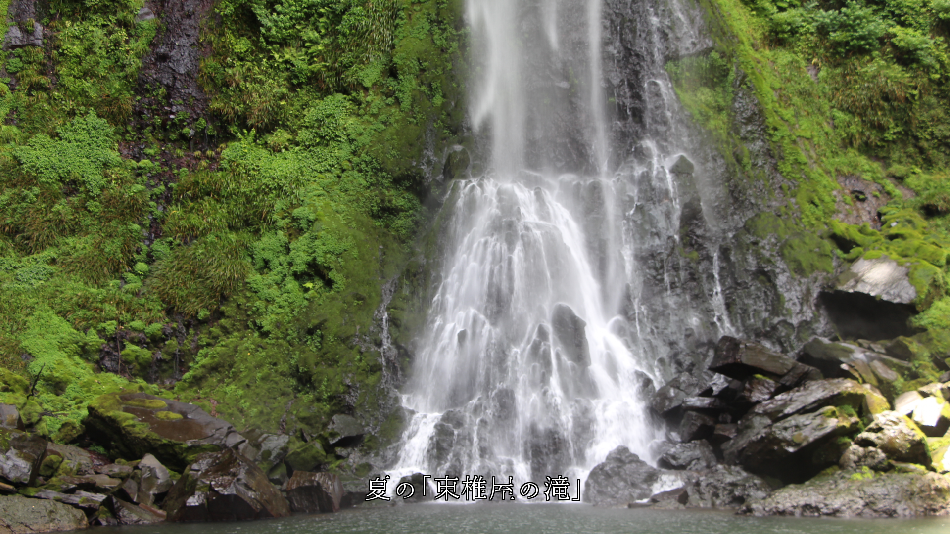 夏の緑葉期を飾る 大分・宇佐の4つの滝 それぞれ魅力に富む