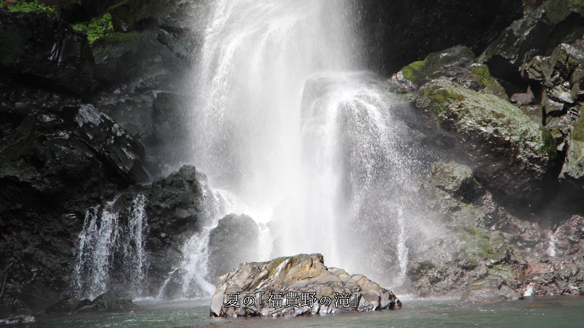 夏の緑葉期を飾る 大分・宇佐の4つの滝 それぞれ魅力に富む