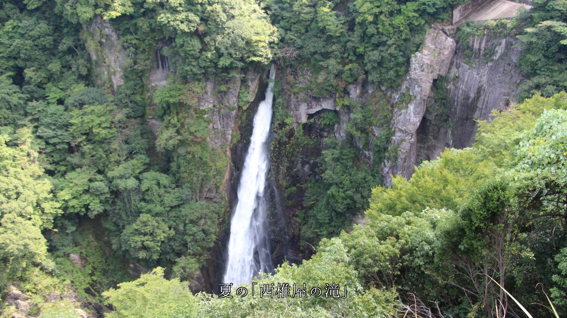 夏の緑葉期を飾る 大分・宇佐の4つの滝 それぞれ魅力に富む