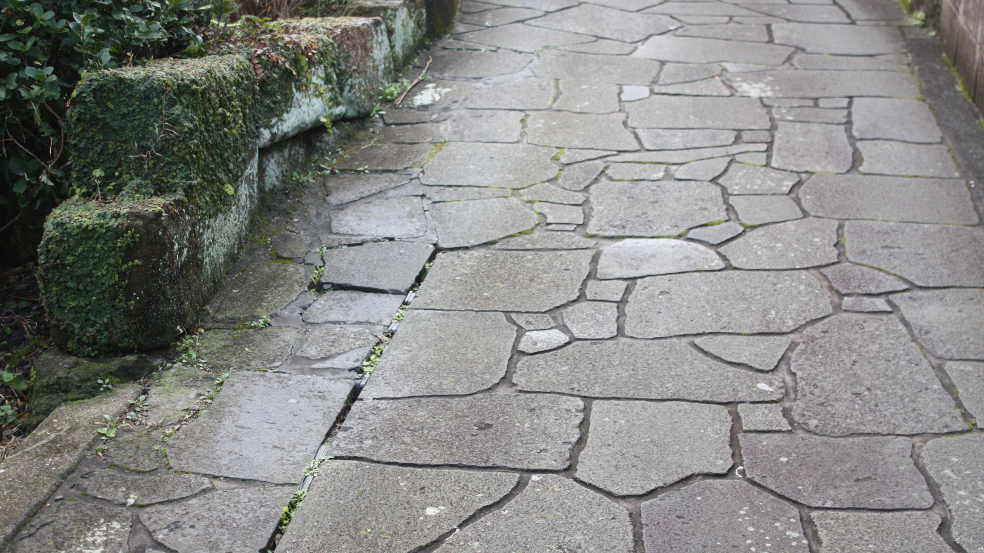 ���Ϥ����Ф�ƻ  ��ˤ������������ξ�򡡸��³���Ƥ���