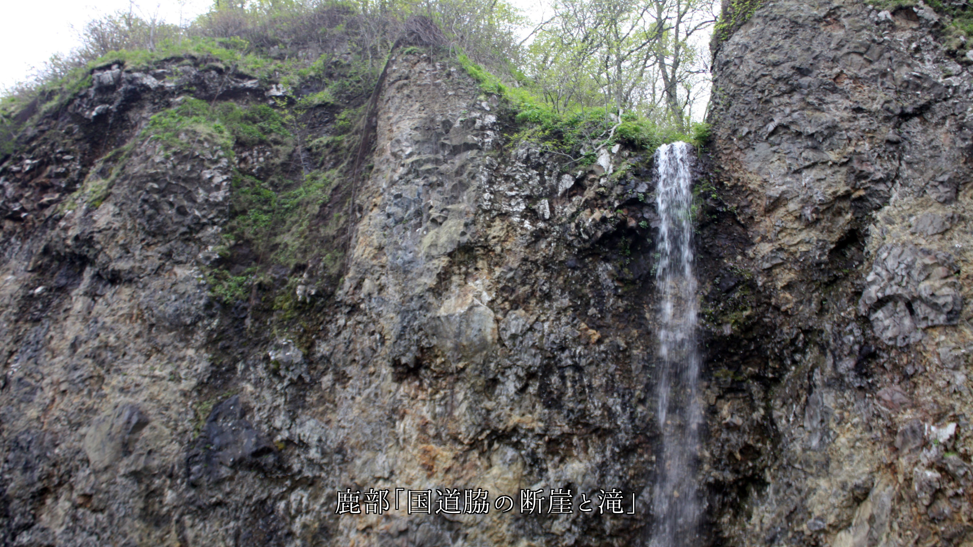 ���Ϥγ��ߤǤ��ǳ����������Ѥ����Ӻ��ʴ�ȩ���϶��������롡��