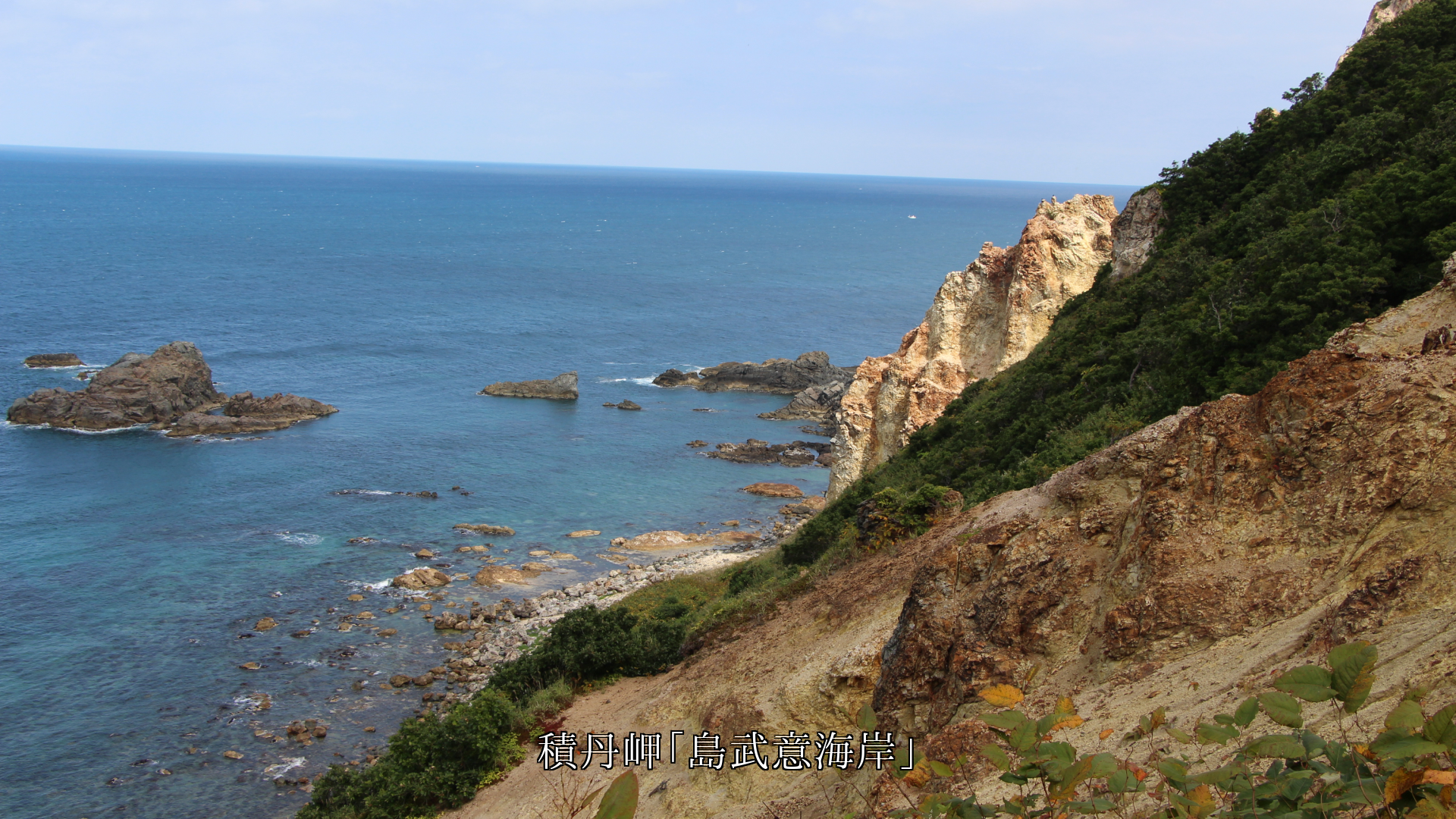 ���Ϥγ��ߤǤ��ǳ����������Ѥ����Ӻ��ʴ�ȩ���϶��������롡��