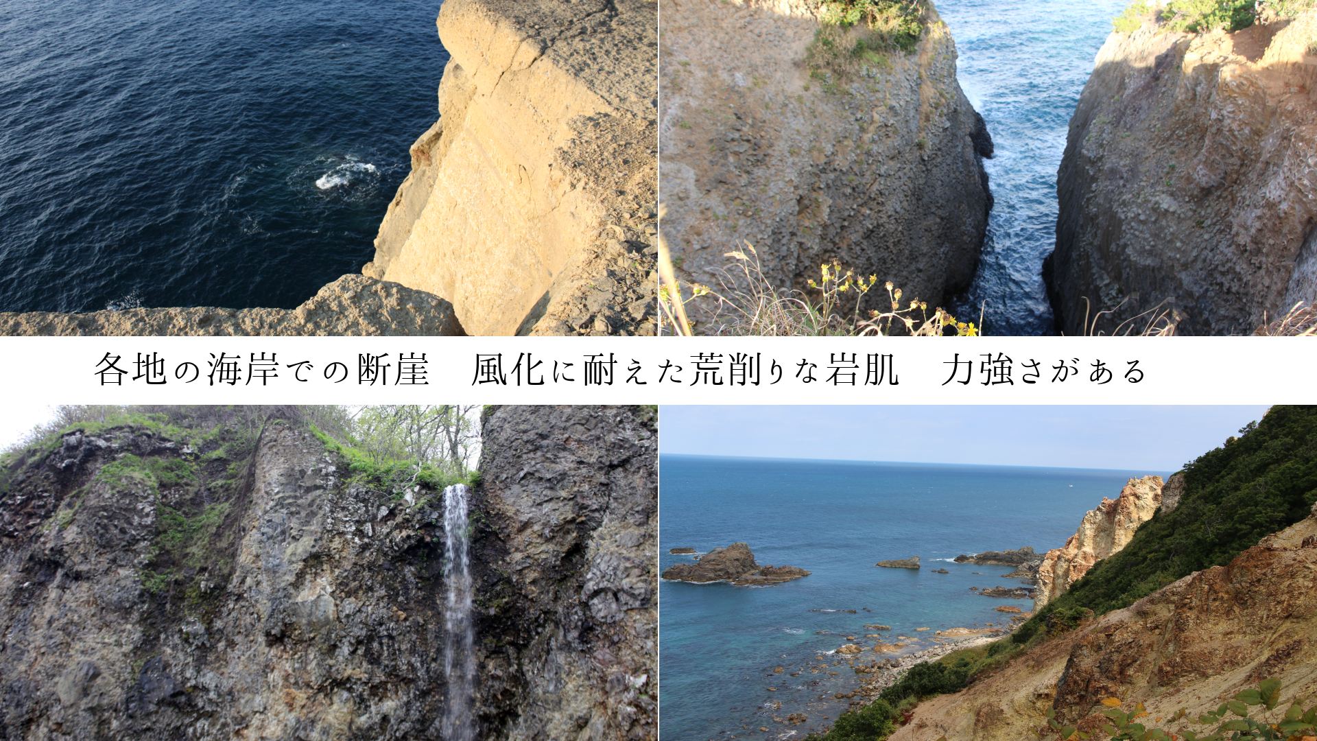 ���Ϥγ��ߤǤ��ǳ����������Ѥ����Ӻ��ʴ�ȩ���϶��������롡��