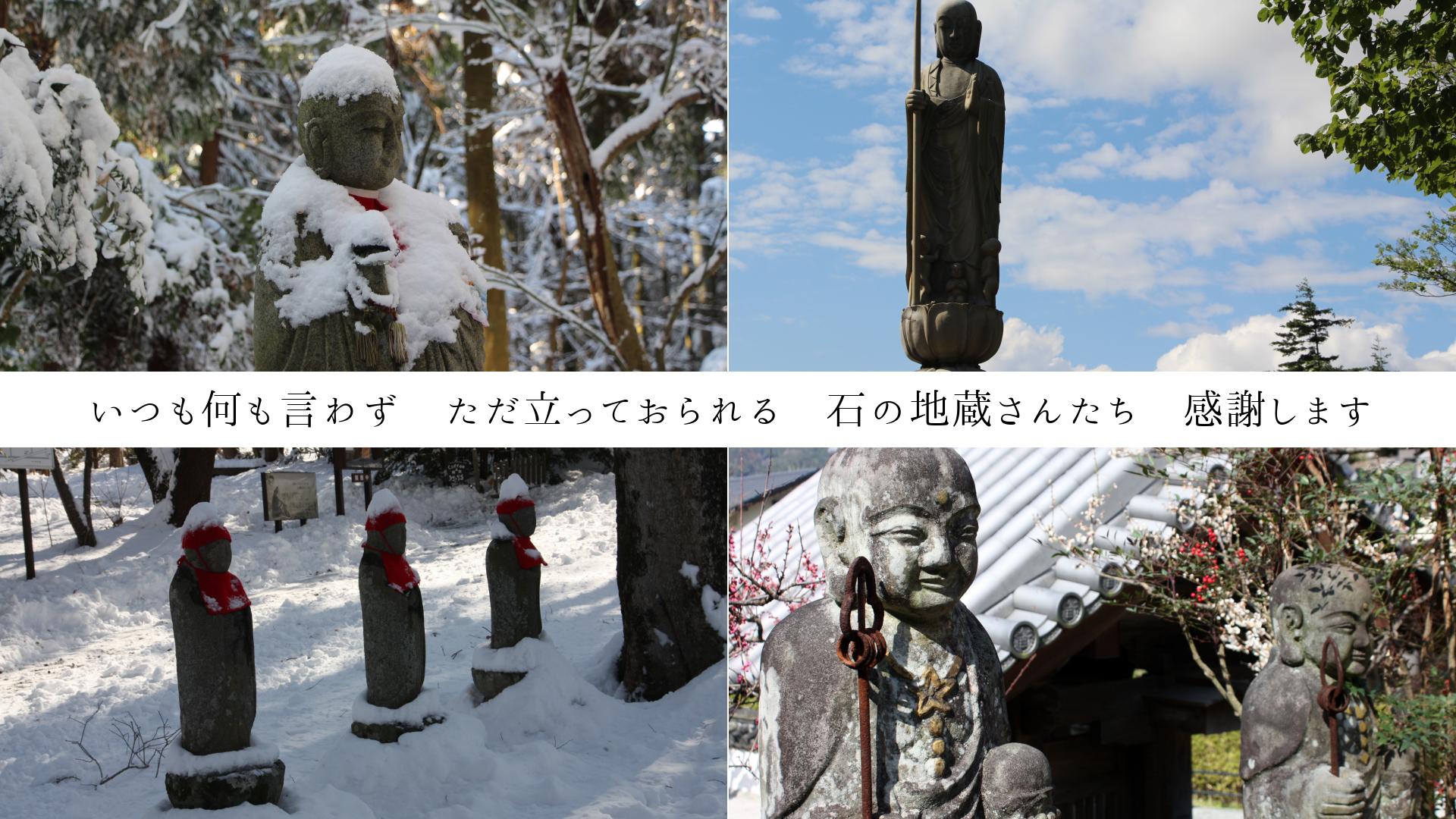 Ĥⲿ鷺ΩäƤ롡Ф¢󤿤դޤ