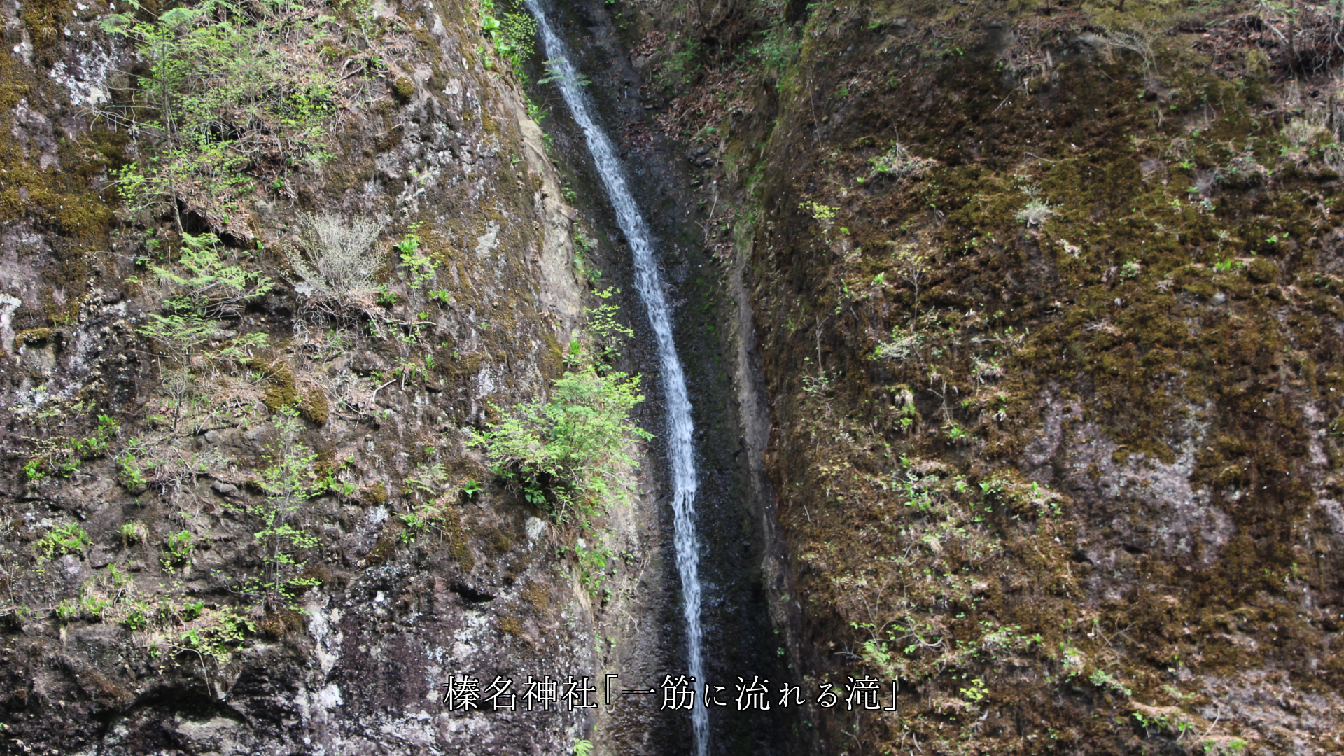 自然や人が造り 一筋となって 縦や斜めに走る 色々な姿の筋