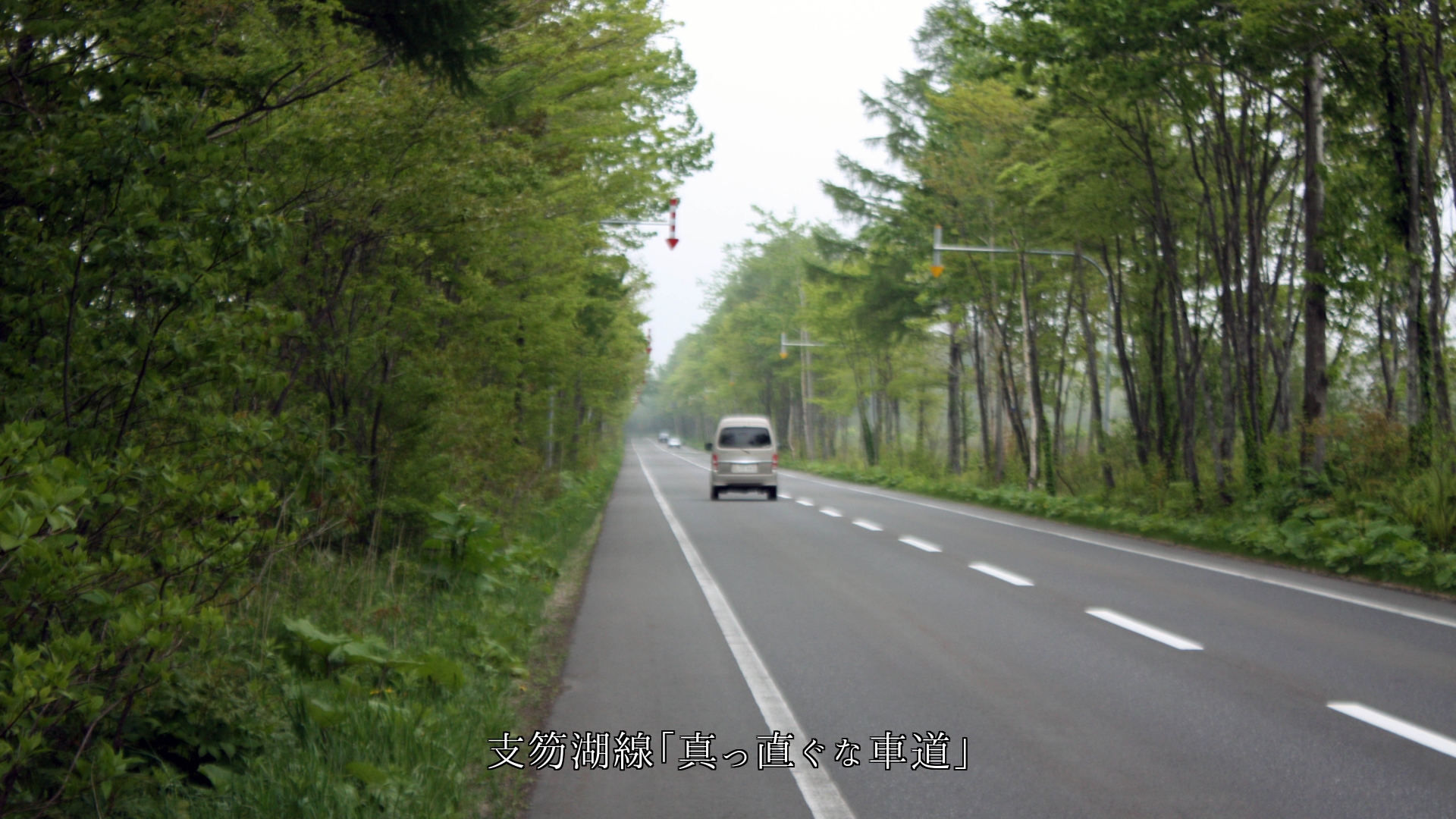 自然や人が造り 一筋となって 縦や斜めに走る 色々な姿の筋
