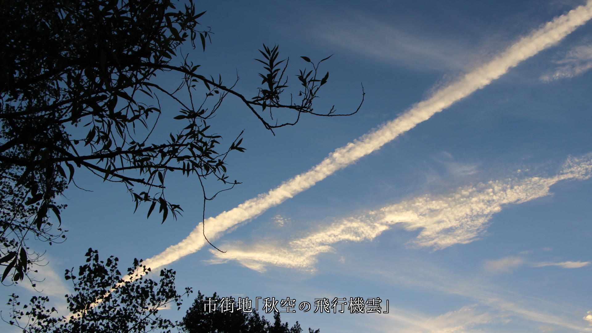 自然や人が造り 一筋となって 縦や斜めに走る 色々な姿の筋