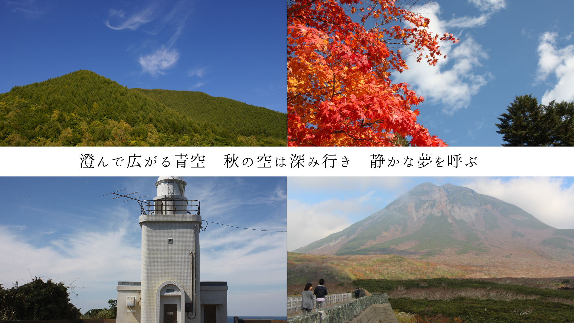 ǹĶζϿ߹ԤŤ̴Ƥ֡