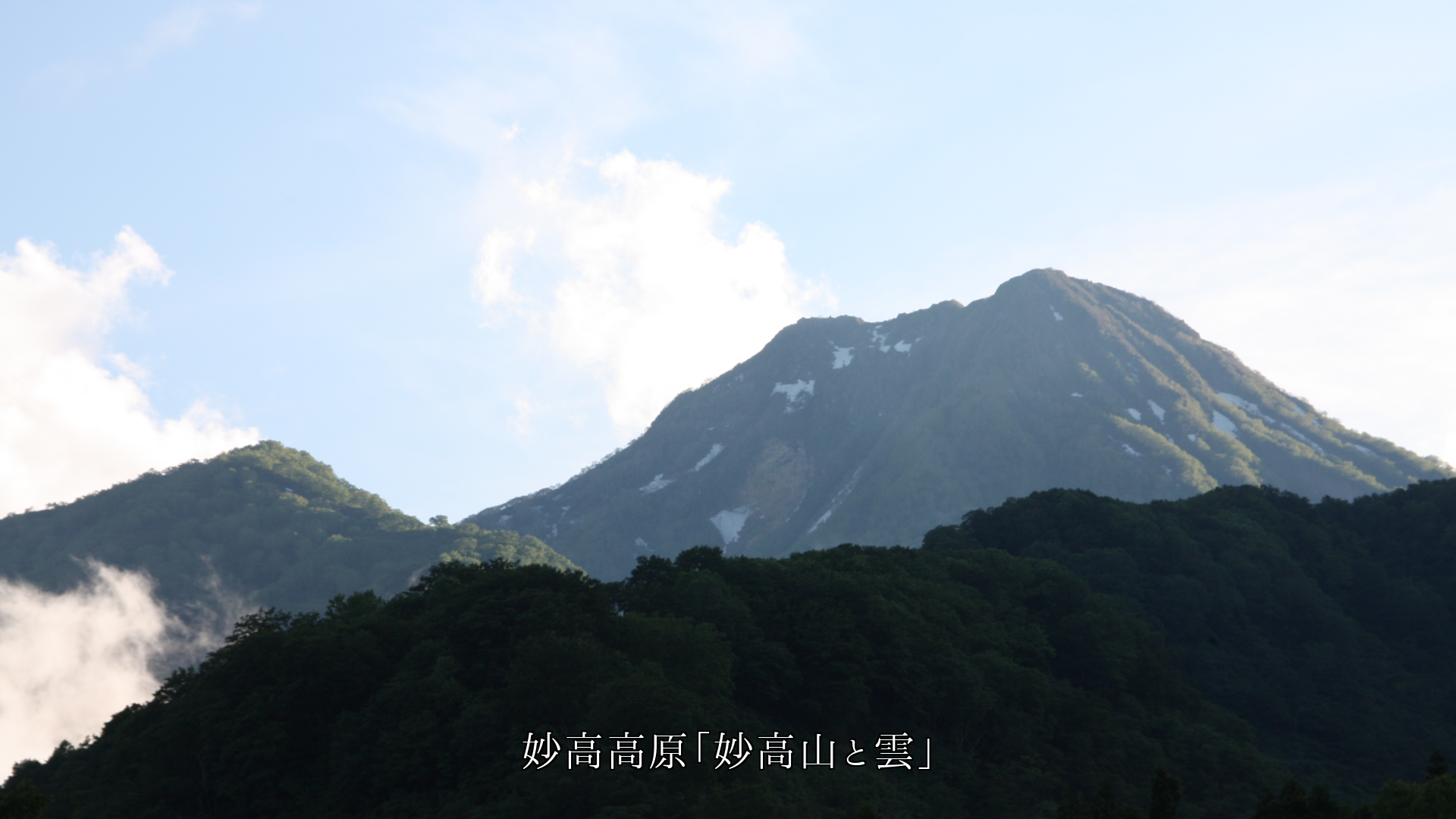 旅先で出会った 高原や湿原の山川草木 それぞれ想い出を支える