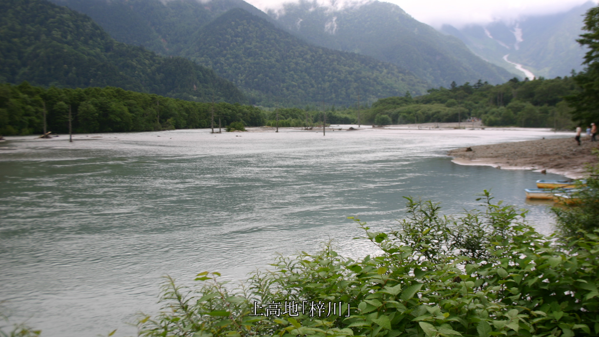 旅先で出会った 高原や湿原の山川草木 それぞれ想い出を支える