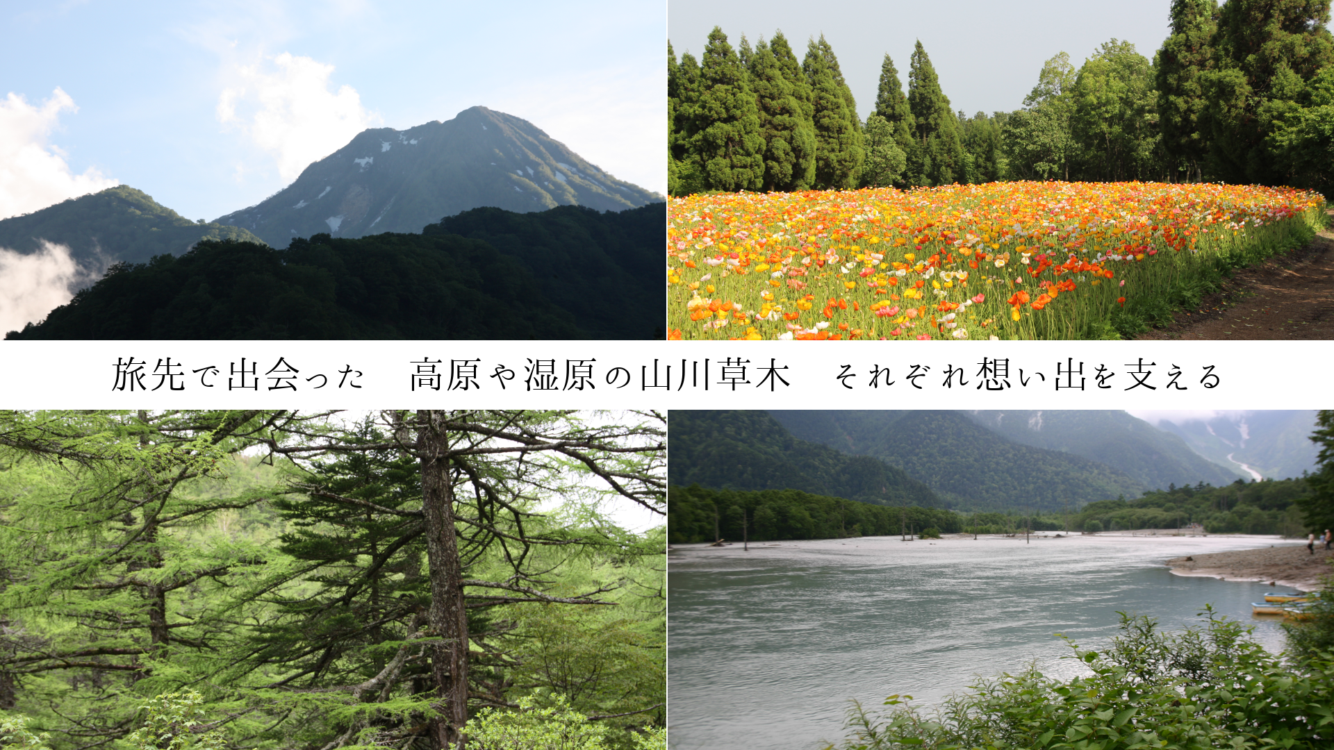 ιǽвä⸶伾λڡ줾ۤФ٤