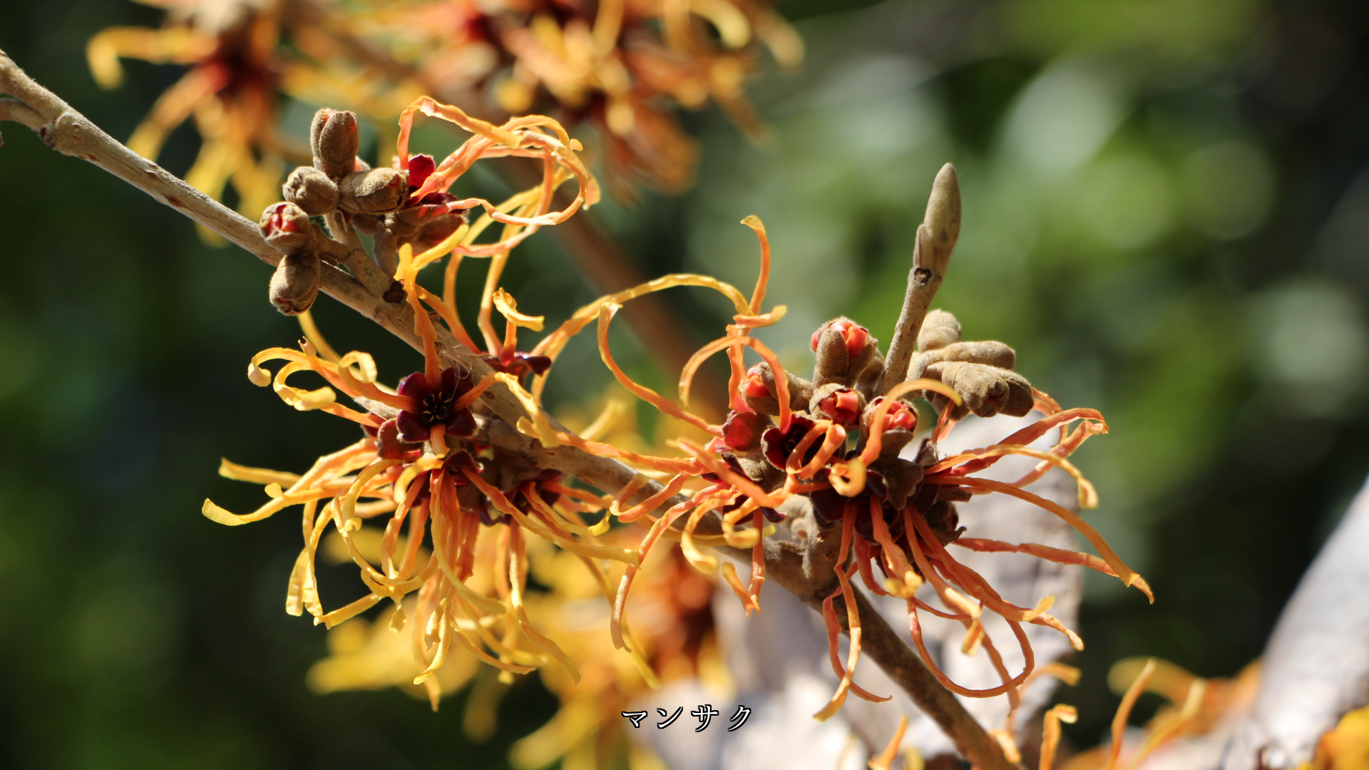 �ߤδ�����Ф� �դ�Ƥ֡������β֤�Ĥ����ڲ֤�������˾��Ϣ������