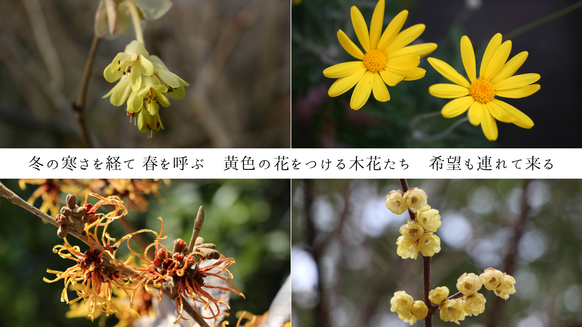 �ߤδ�����Ф� �դ�Ƥ֡������β֤�Ĥ����ڲ֤�������˾��Ϣ������