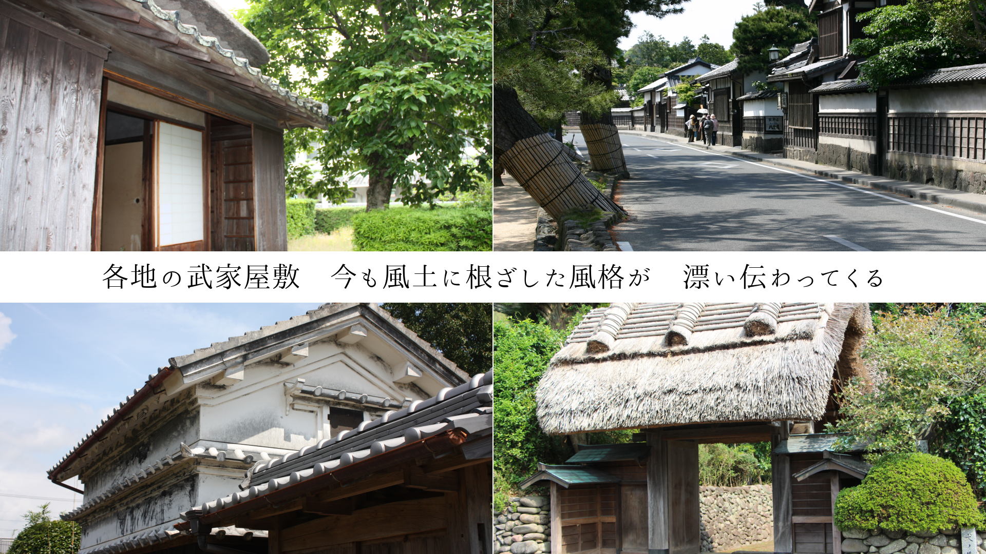 ���Ϥ���Ȳ��ߡ��������ڤ˺����������ʤ���ɺ������äƤ���