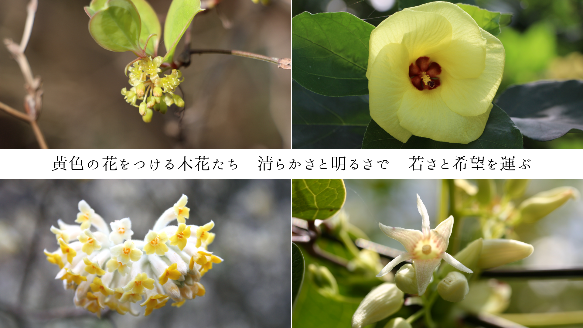 β֤Ĥڲ֤餫뤵ǡ㤵ȴ˾򱿤