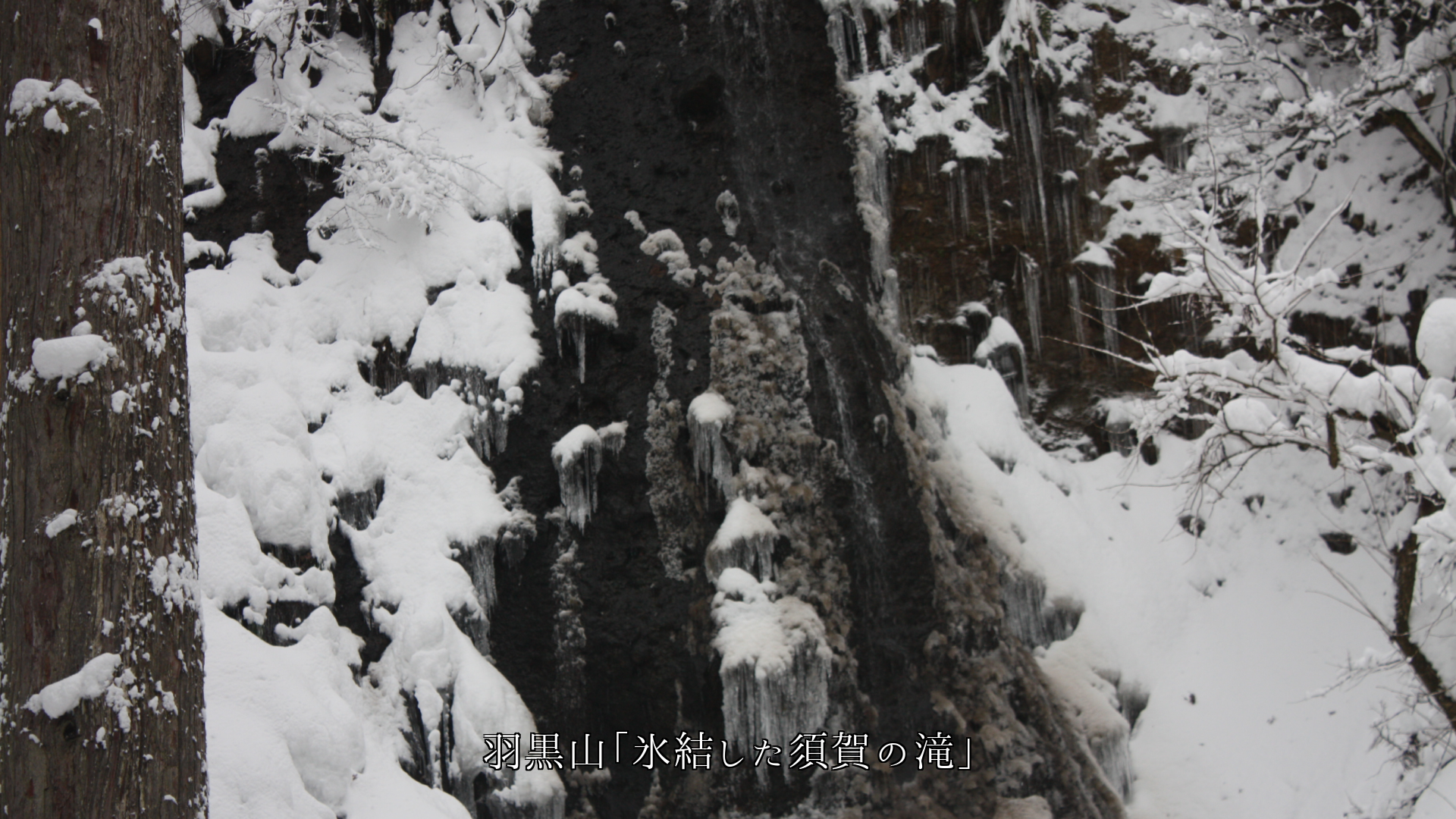 氷結した各地の滝 わずかな水の流れも 伴っている 春を待とう