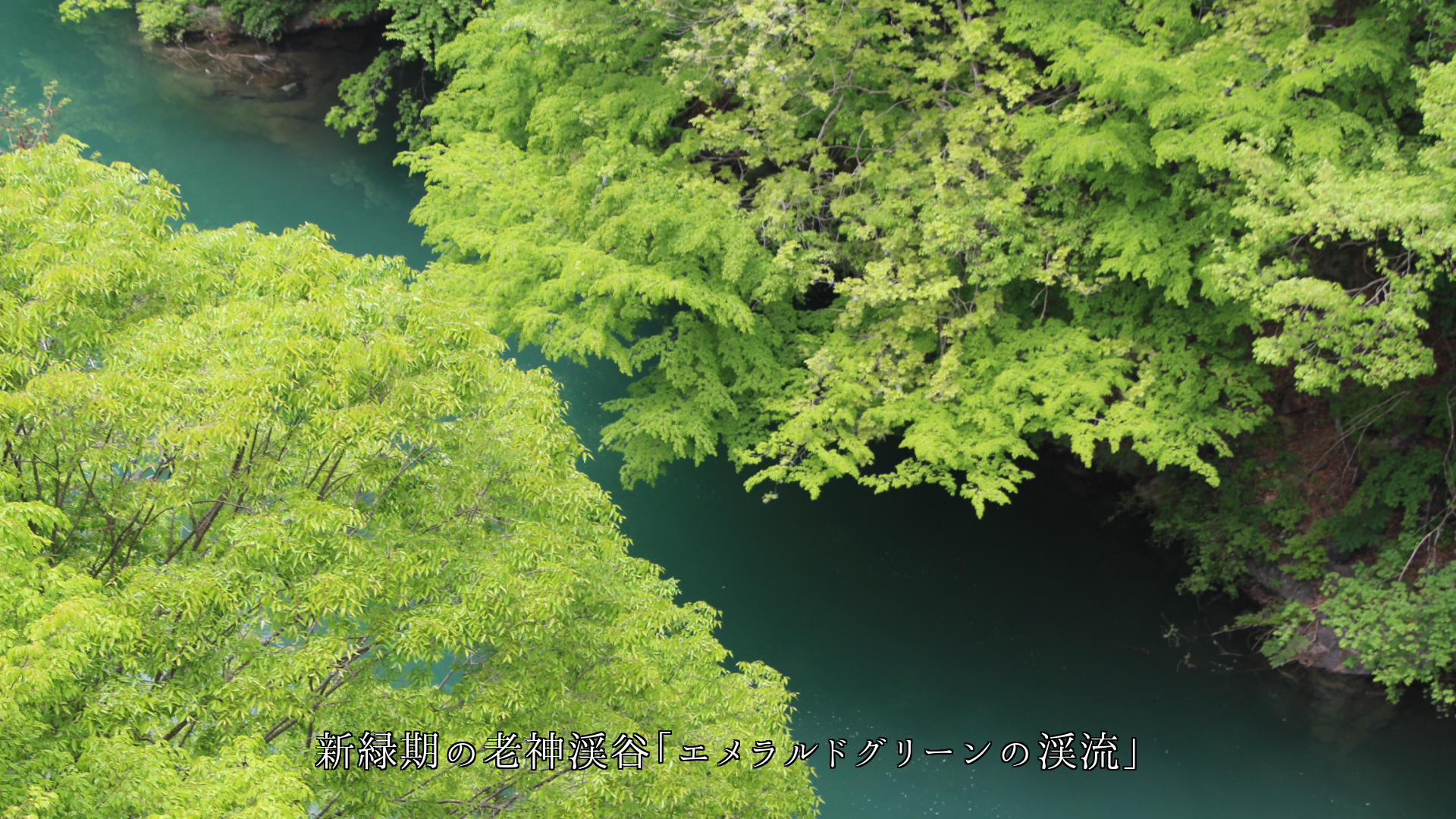 季節が織りなす 山峡や谷間の渓流 流れ続けて 景観を創る