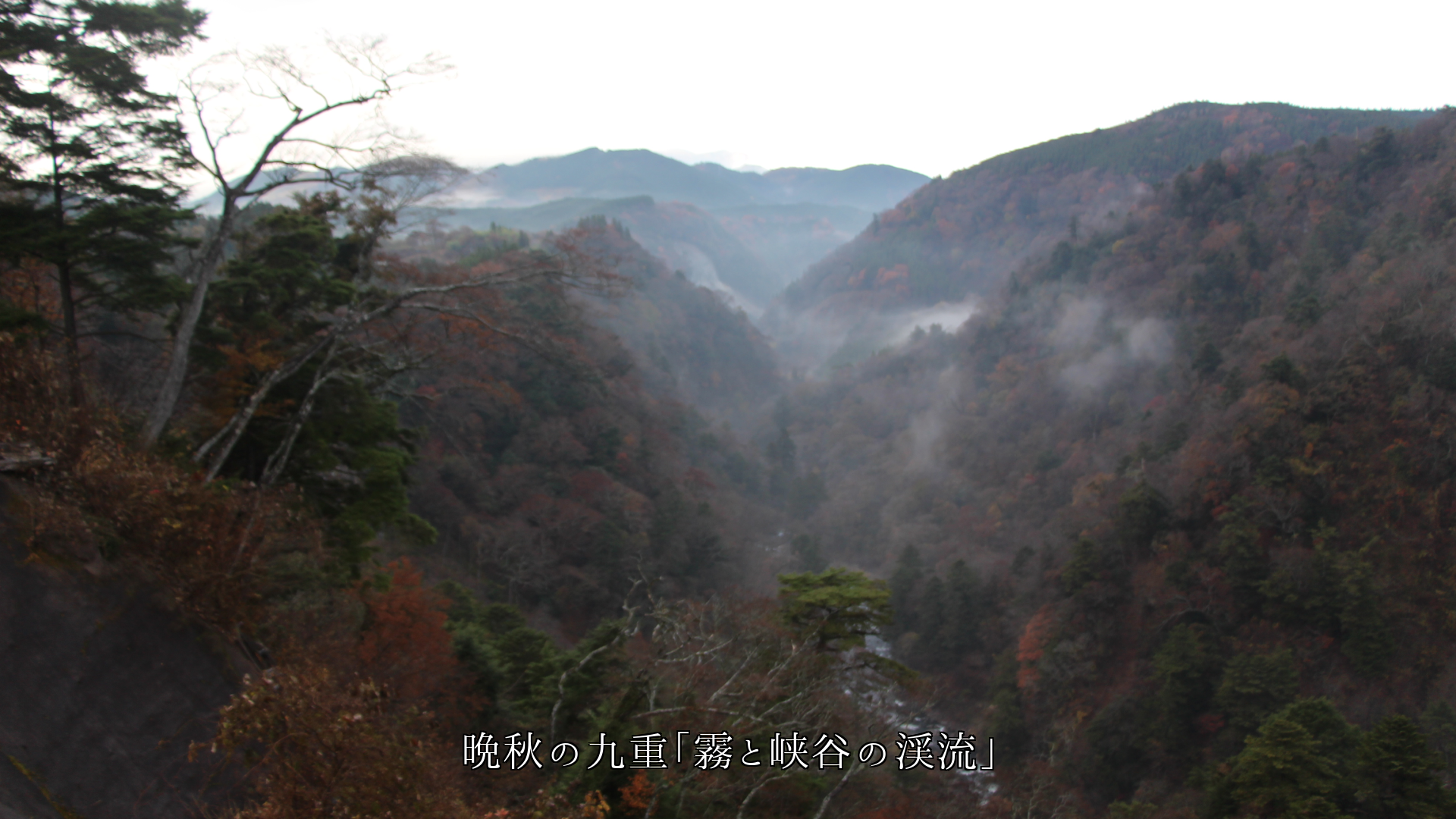 季節が織りなす 山峡や谷間の渓流 流れ続けて 景観を創る