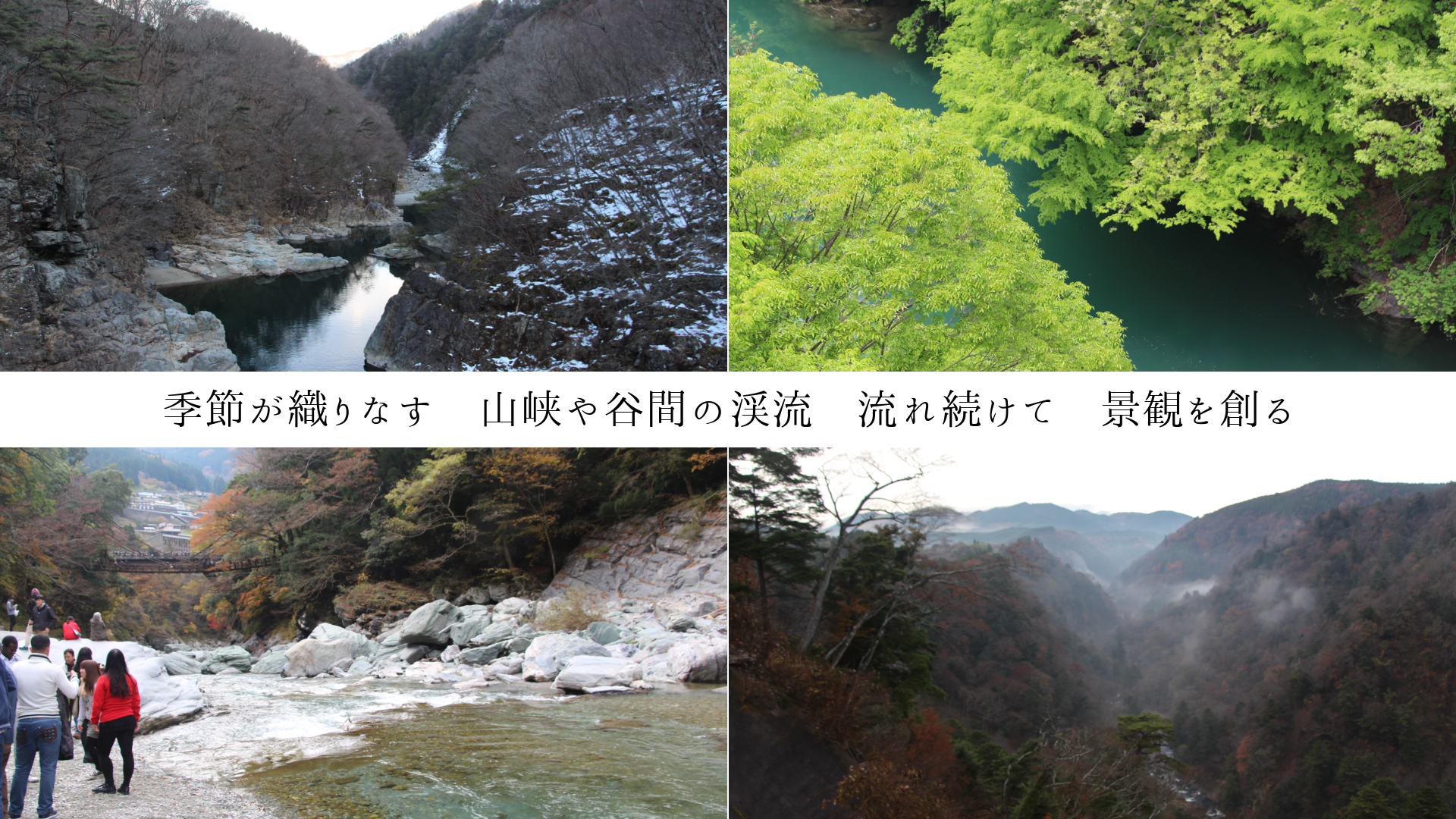 ᤬ʤë֤ηήή³ơʴѤϤ