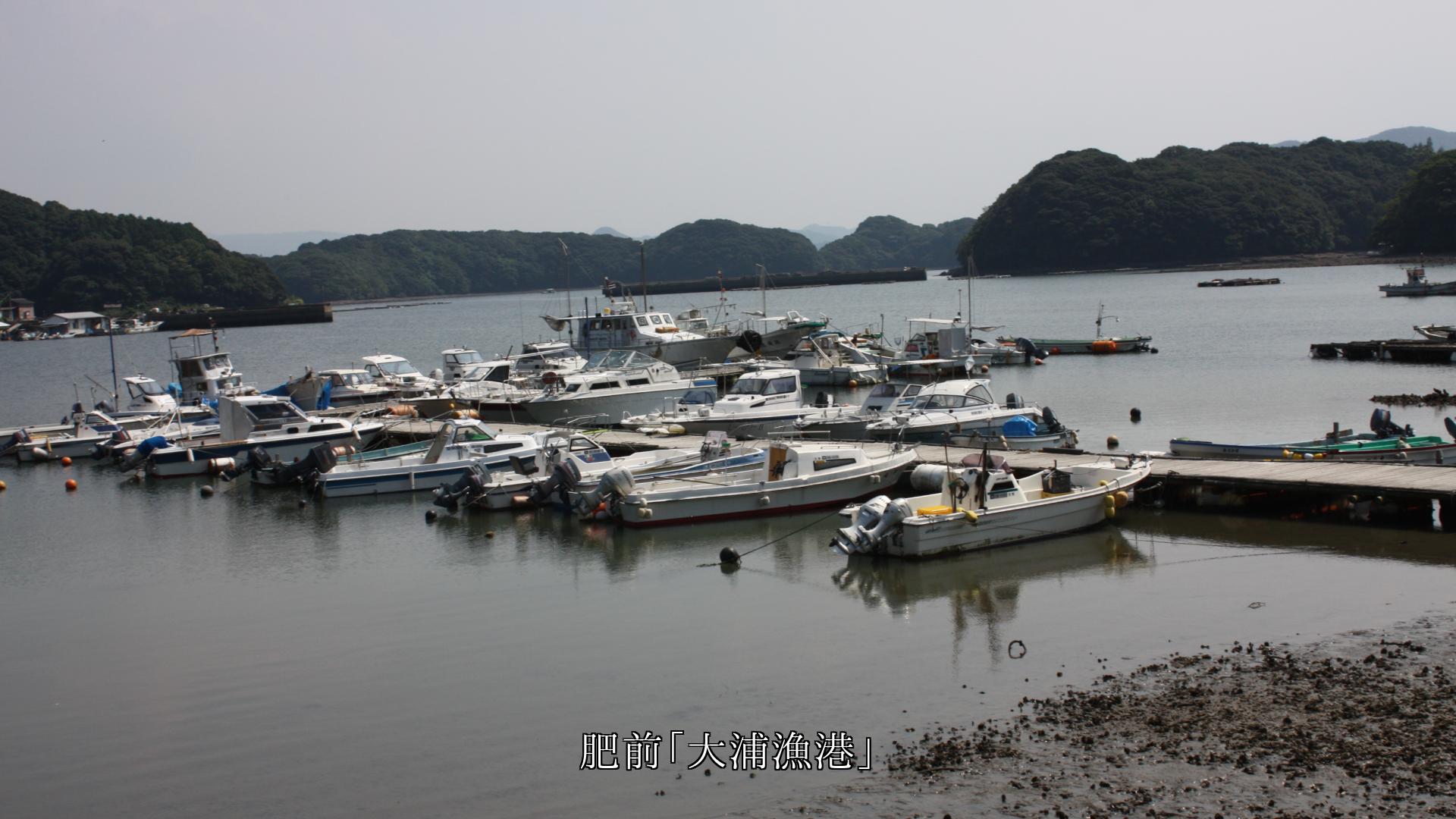 各地の比較的小さな漁港 地域の生活を支え それぞれ特色がある