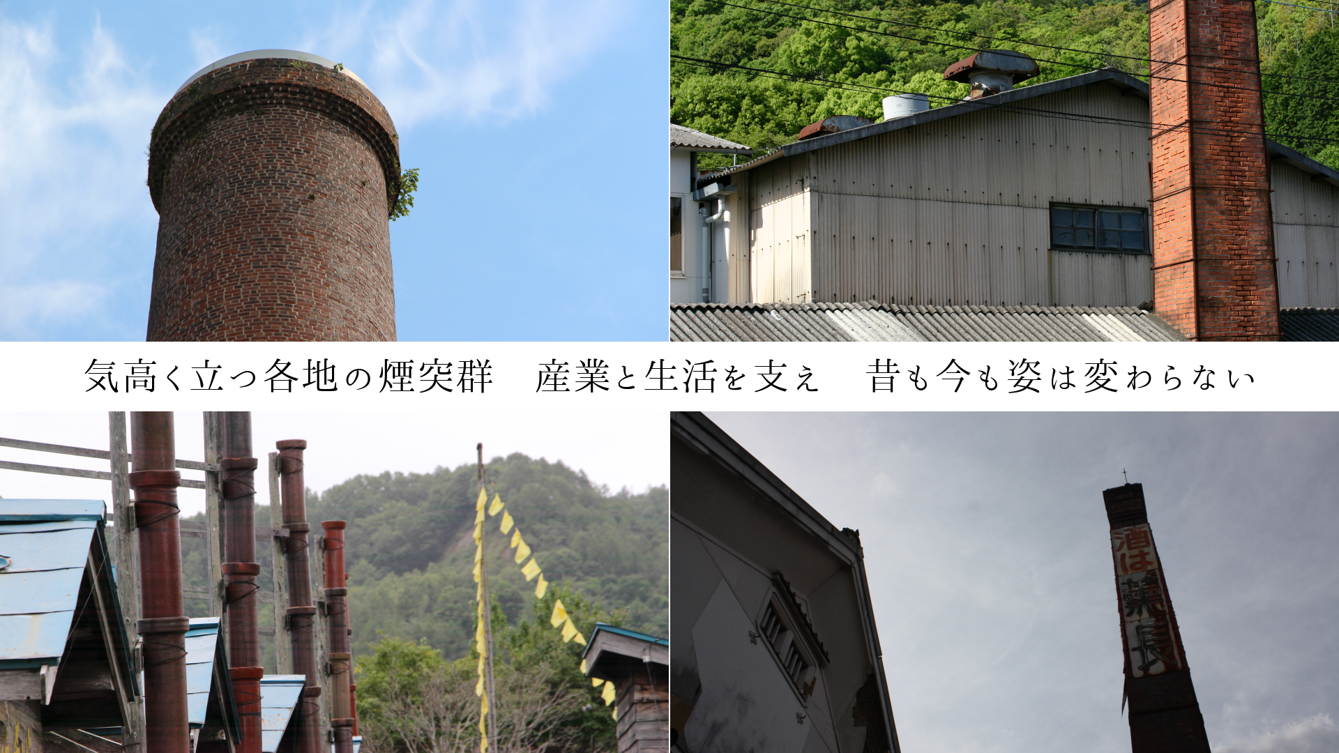 ⤯ΩĳϤαͷȤ٤Τ⺣ѤѤʤ