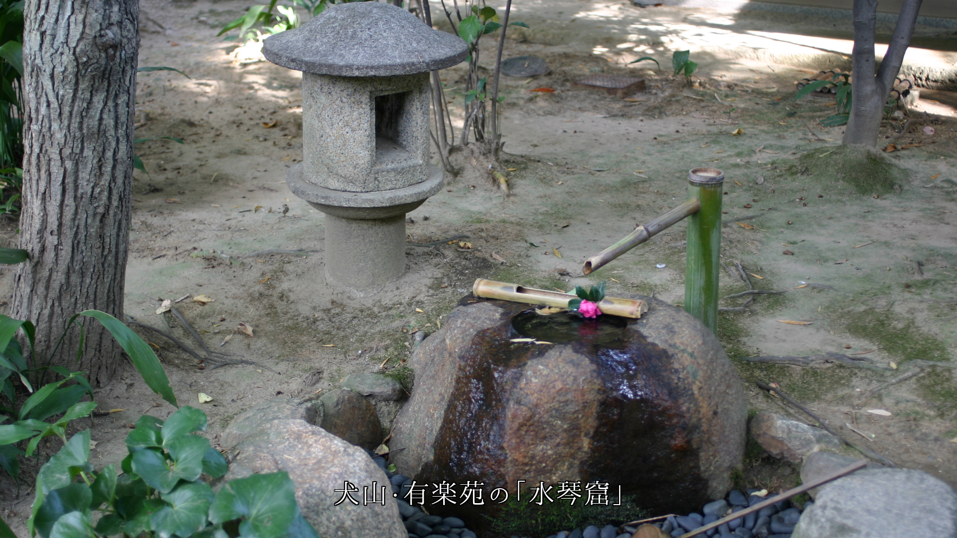 ���ܤξ�郎����롡���������ʲ����Ť��������ˤ��ߤƤ���