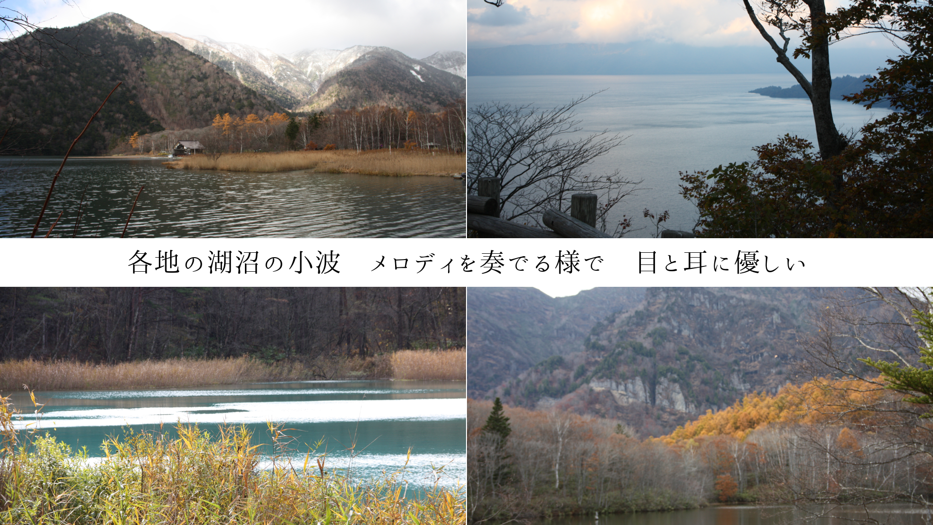 各地の湖沼の小波 メロディを奏でる様で 目と耳に優しい