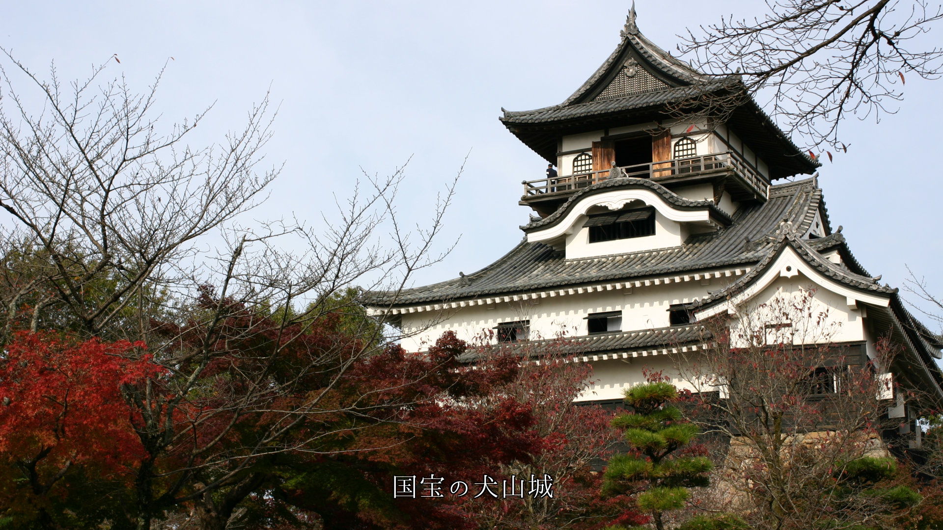 壮麗と剛健な姿で魅了する 国宝の天守閣 歴史を語っている