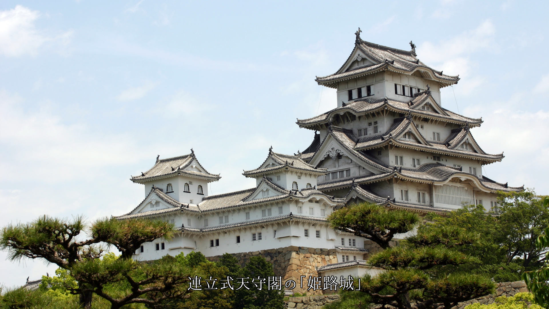 壮麗と剛健な姿で魅了する 国宝の天守閣 歴史を語っている