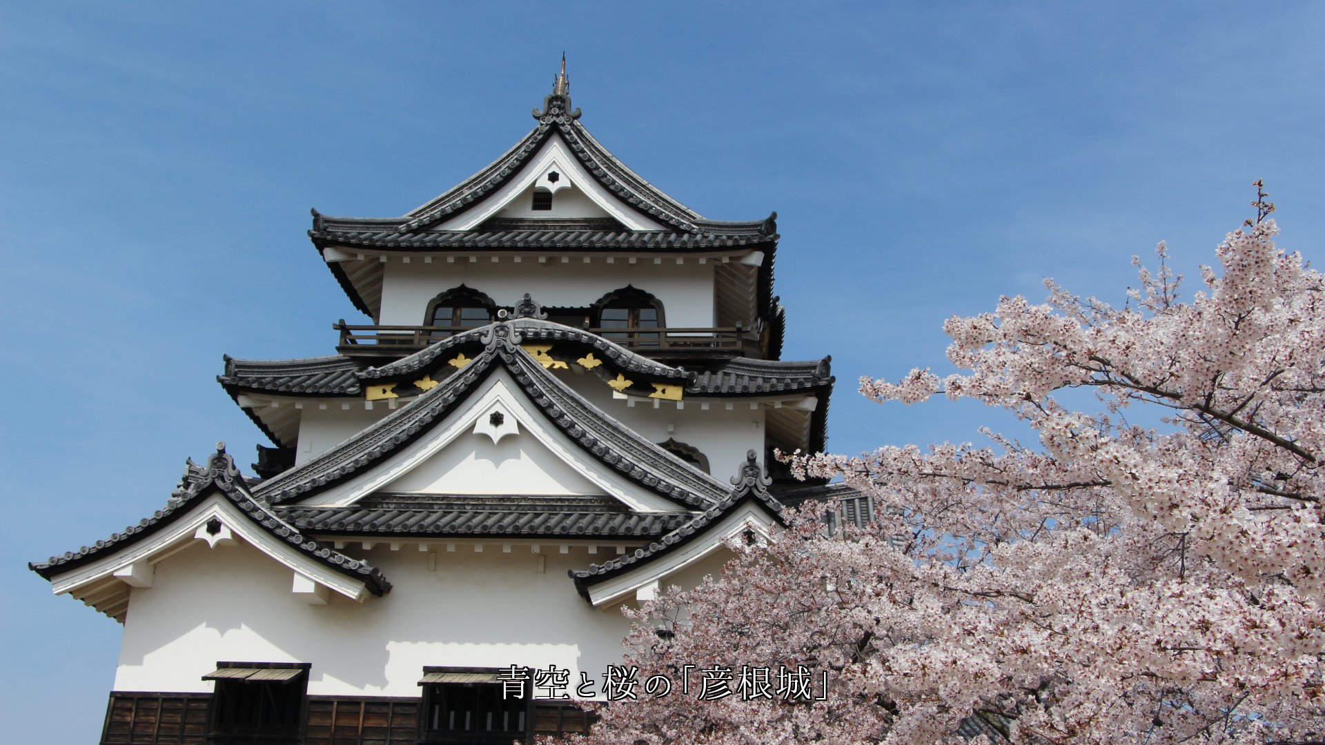 壮麗と剛健な姿で魅了する 国宝の天守閣 歴史を語っている