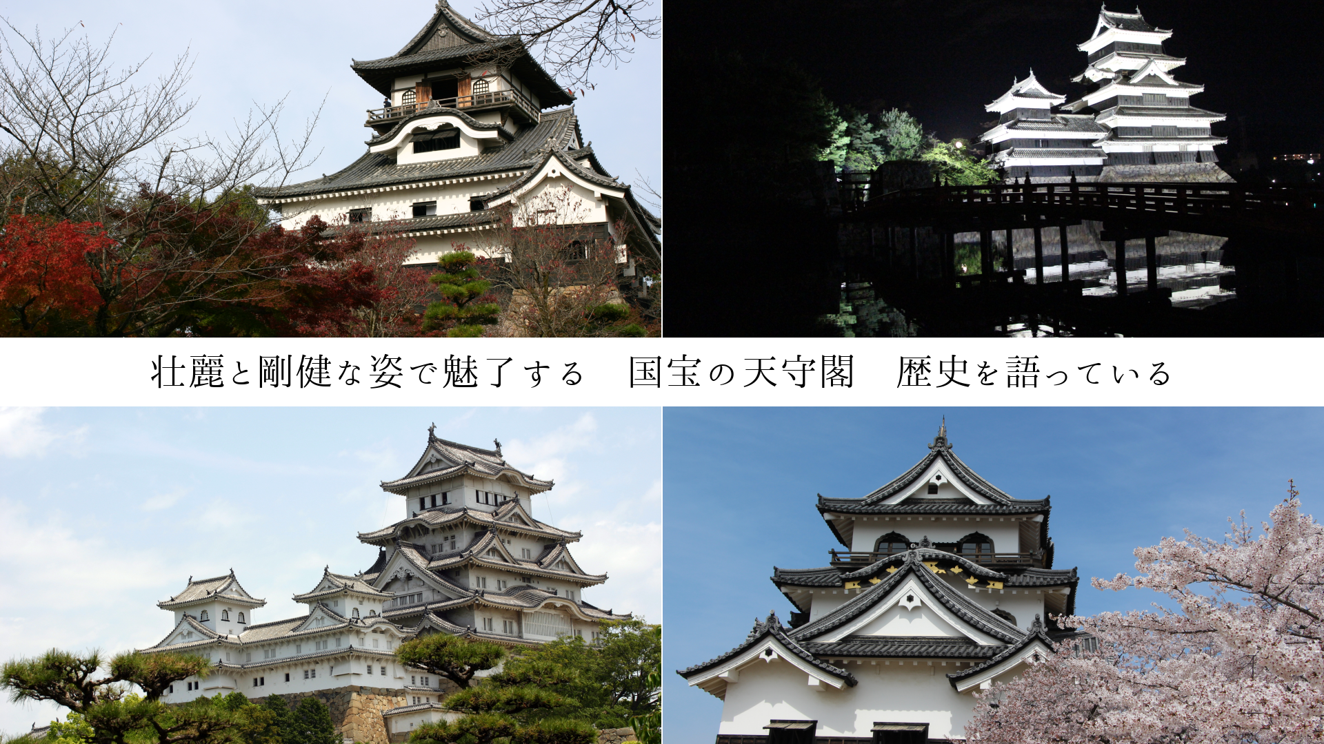 ȹʻѤ̥λ롡ŷաˤäƤ