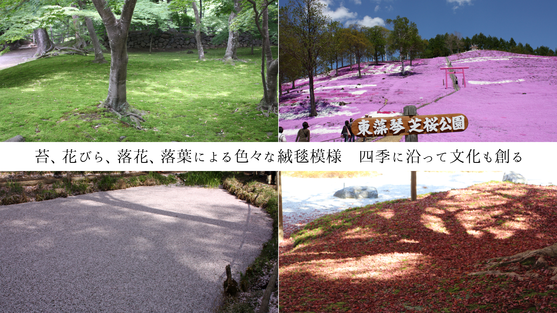 ݡ֤Ӥ顢֡դˤ뿧͡͵˱äʸϤ