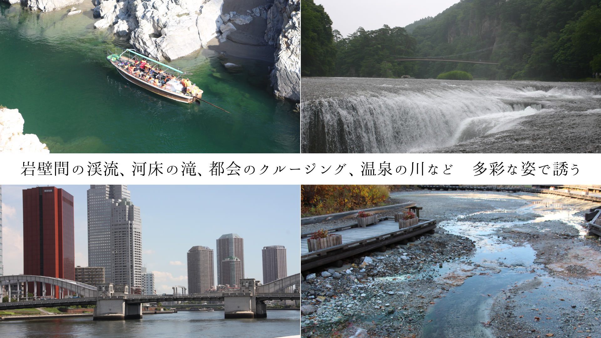 ɴ֤ηήϾ졢ԲΥ롼󥰡ʤɡ¿̤ʻѤͶ