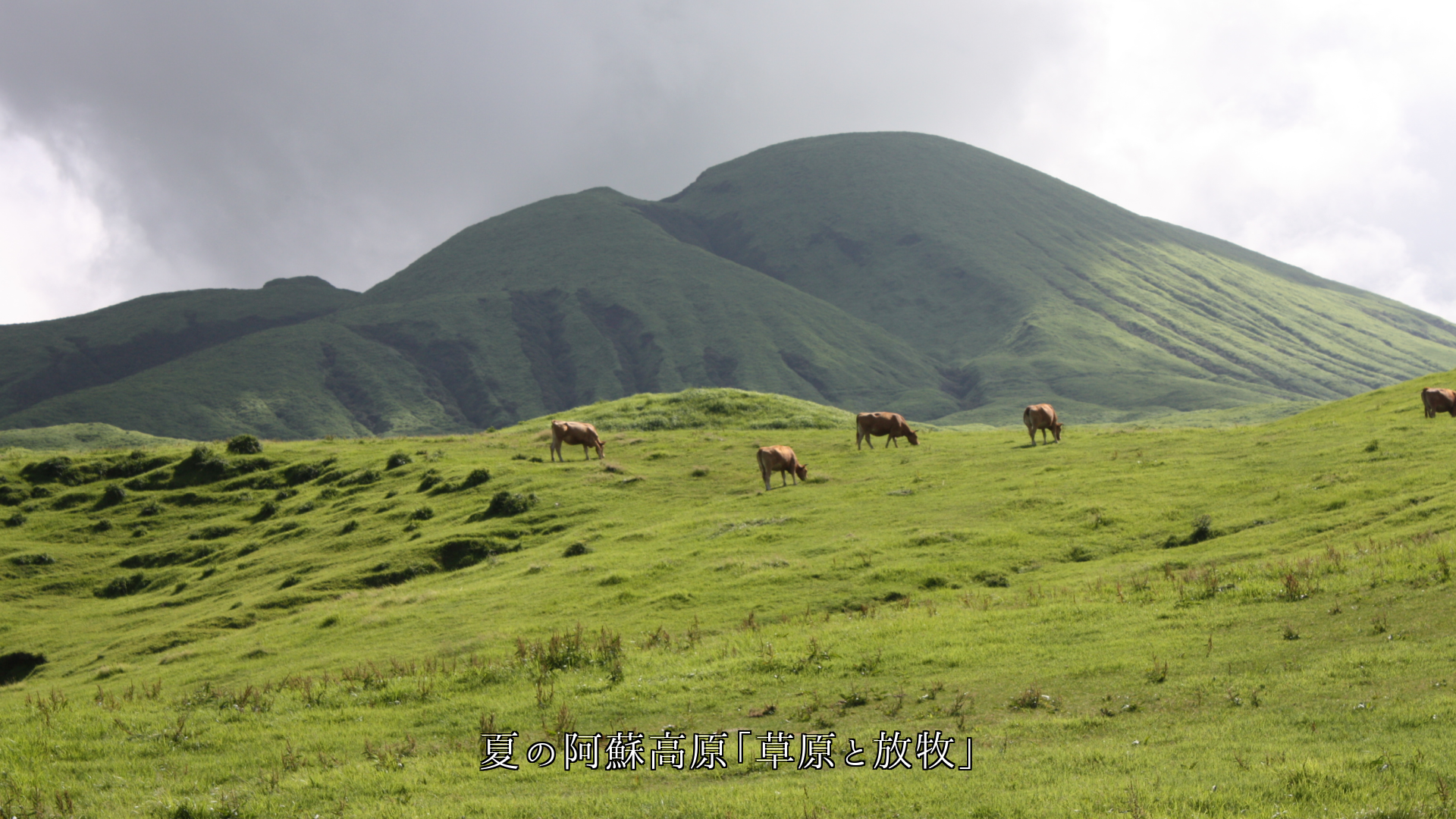 阿蘇の山は 緑の草原 昇る噴煙 白い雪原 一面の花で 人を魅了する