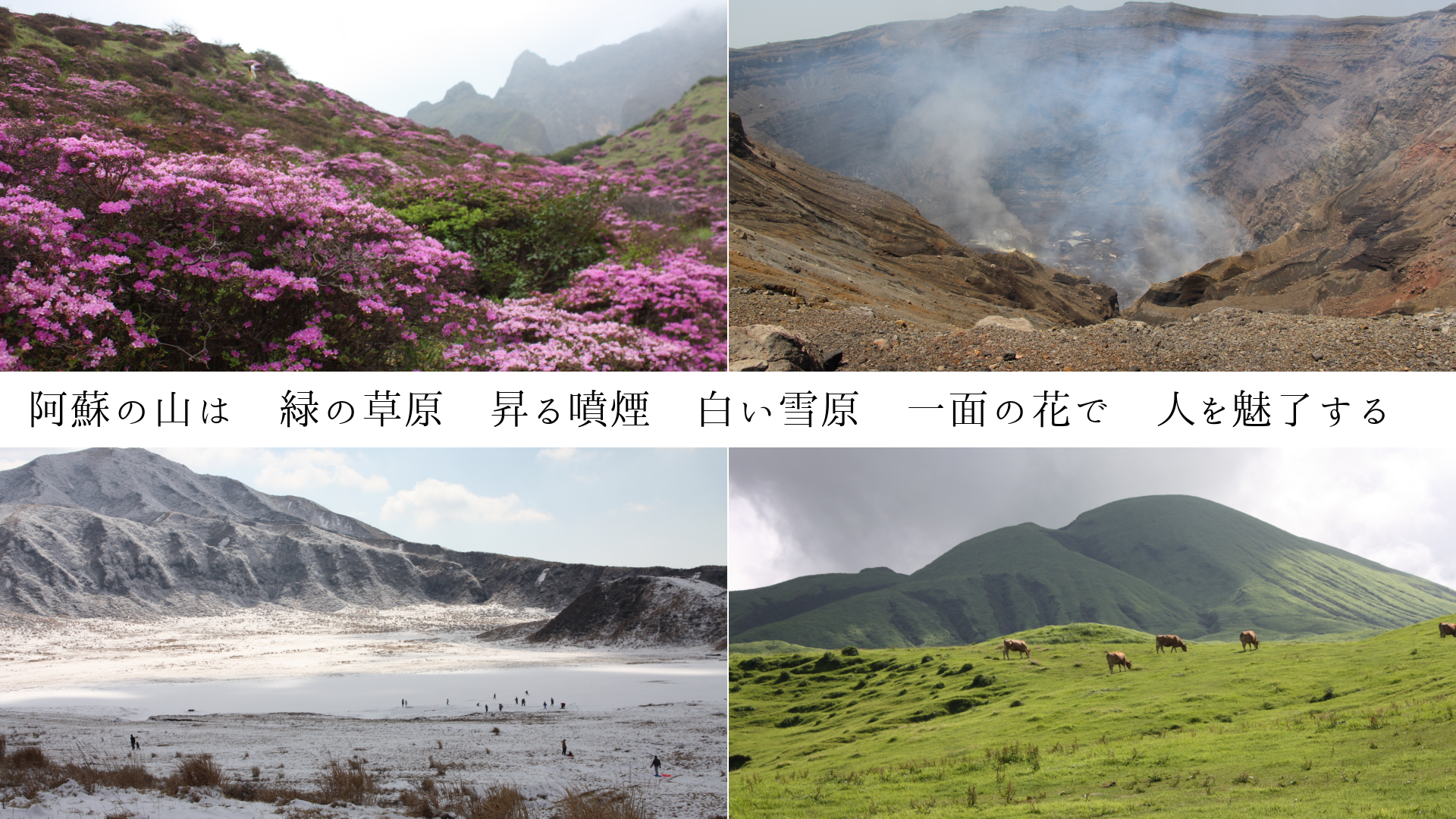 ɤλϡФ𸶡ʮ졡㸶̤β֤ḁ̇̄ͤλ롡