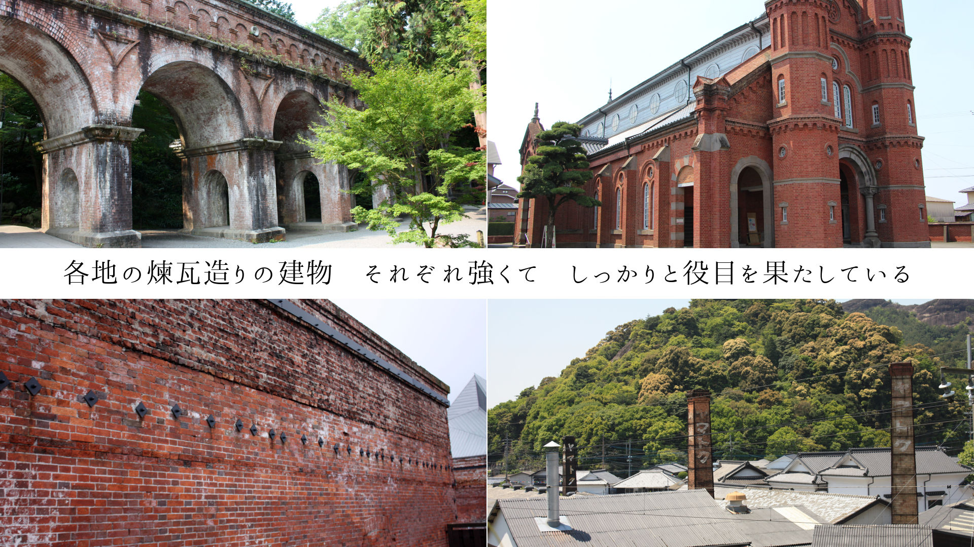 Ϥ¤ηʪ줾춯ơäܤ̤Ƥ