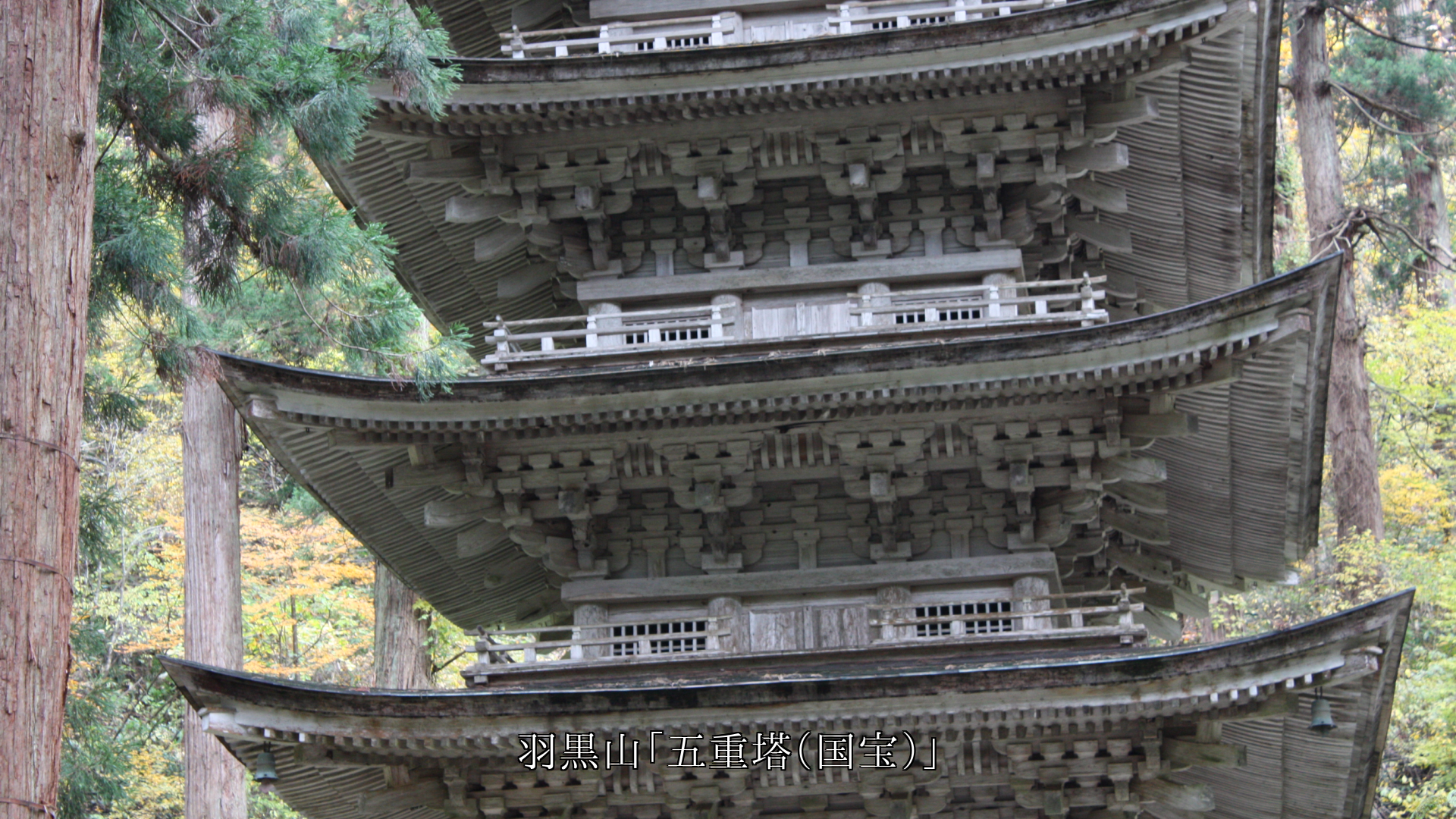 長い年月を経ても 強くて今に生きる 各地の木造建物 歴史と風情がある