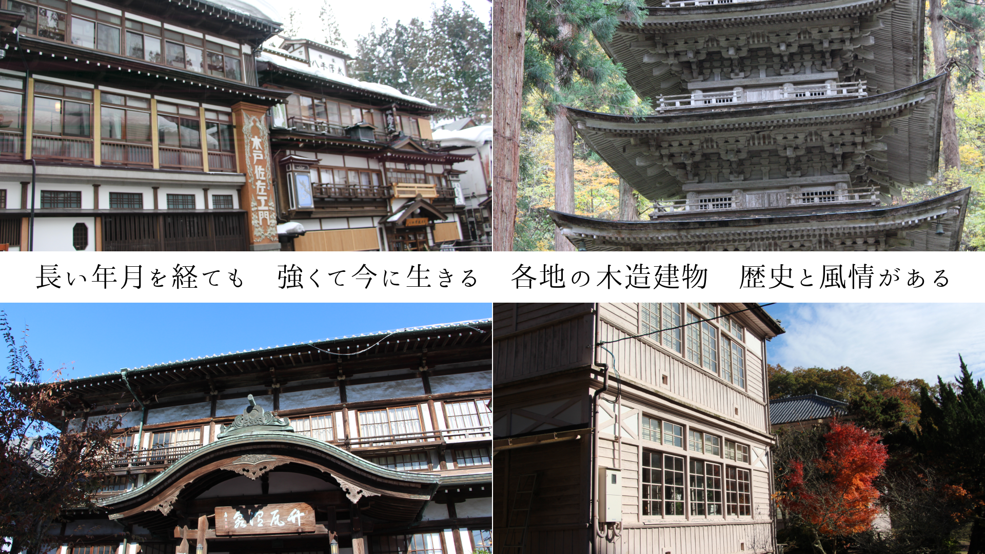 ĹǯФƤ⡡ƺ롡Ϥ¤ʪˤ𤬤