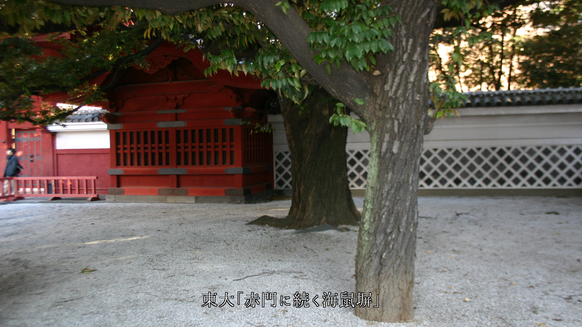 歴史ある建物を護って来た 各地の塀や石垣 力強い 文化も漂う