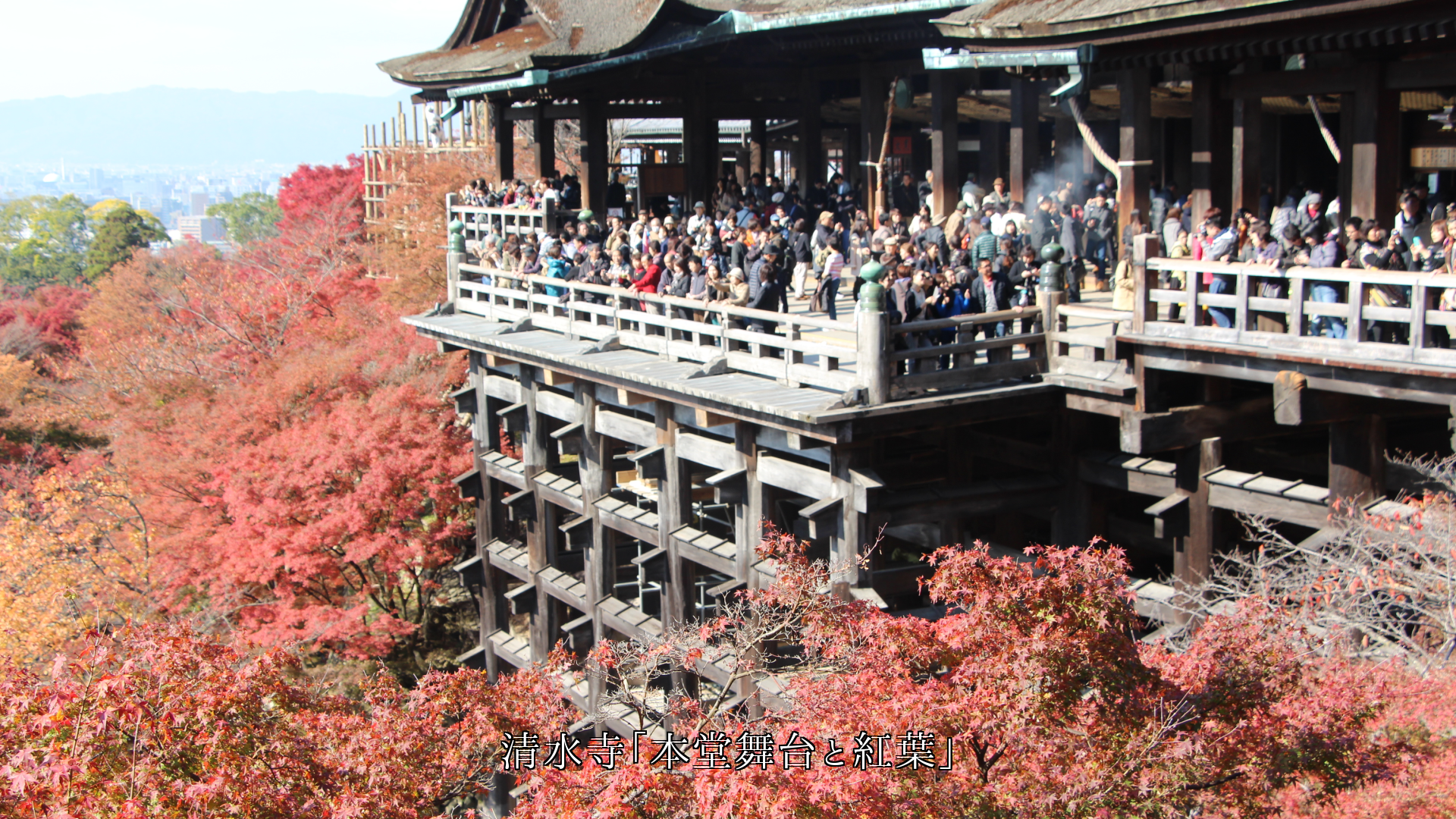 各地のお寺の舞台 人々は眺めを楽しみ 言葉を交わし友となる