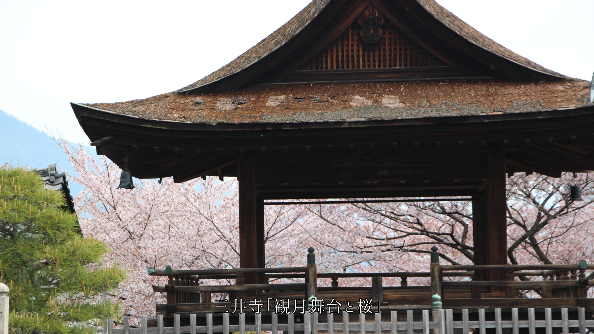 各地のお寺の舞台 人々は眺めを楽しみ 言葉を交わし友となる