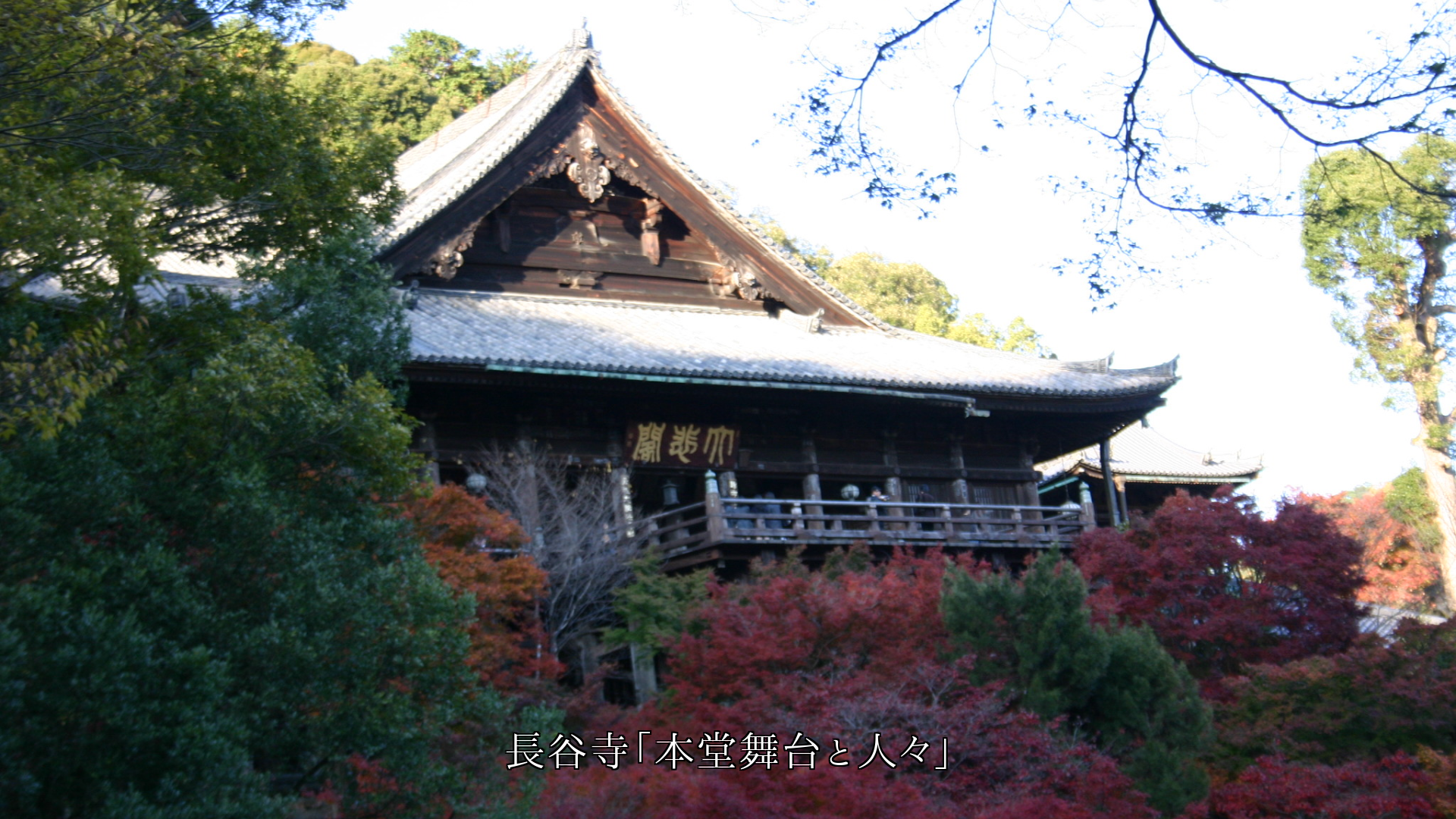各地のお寺の舞台 人々は眺めを楽しみ 言葉を交わし友となる